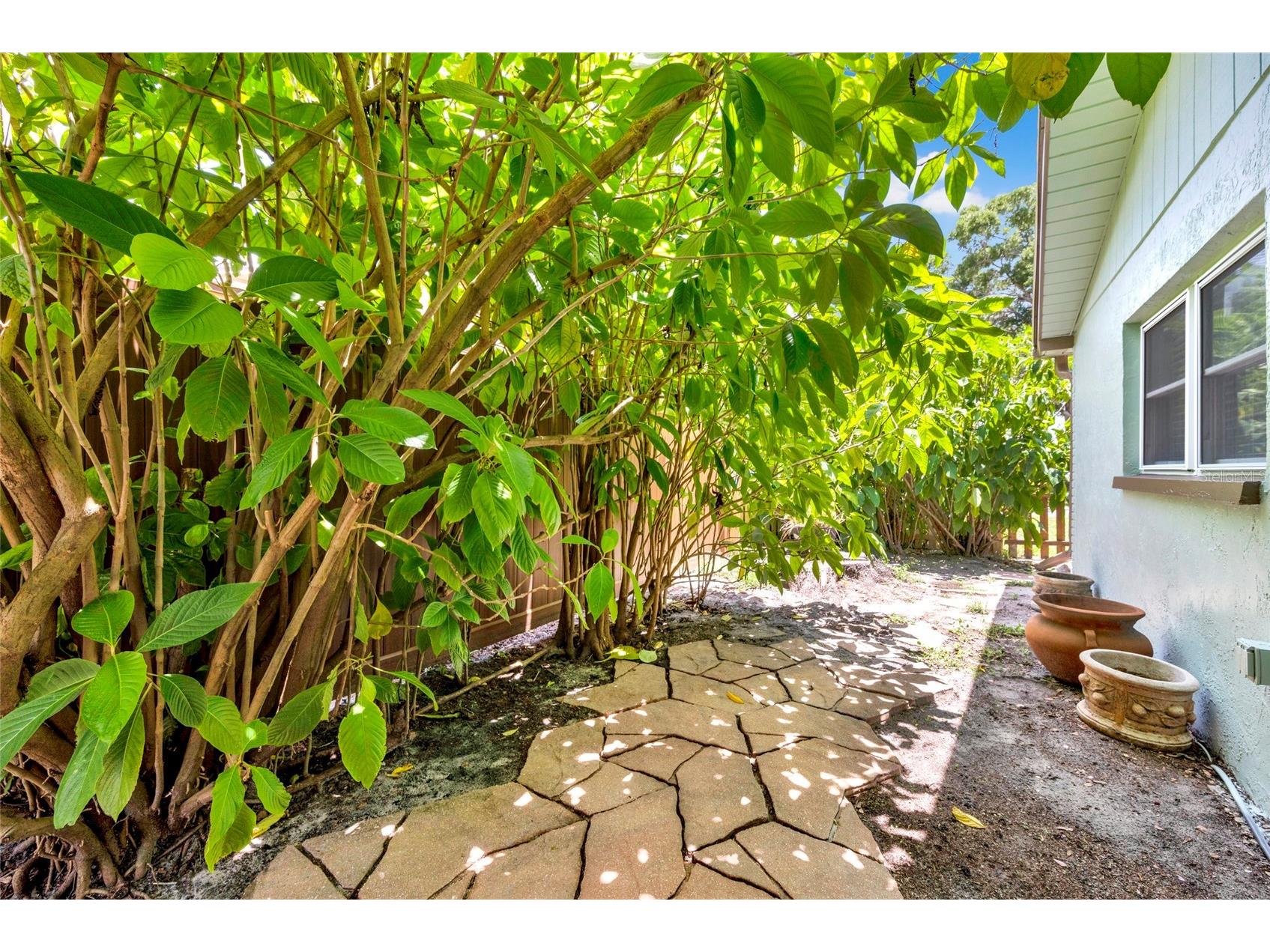 11775 112th Avenue Seminole FL 33778 TB8513363 image29