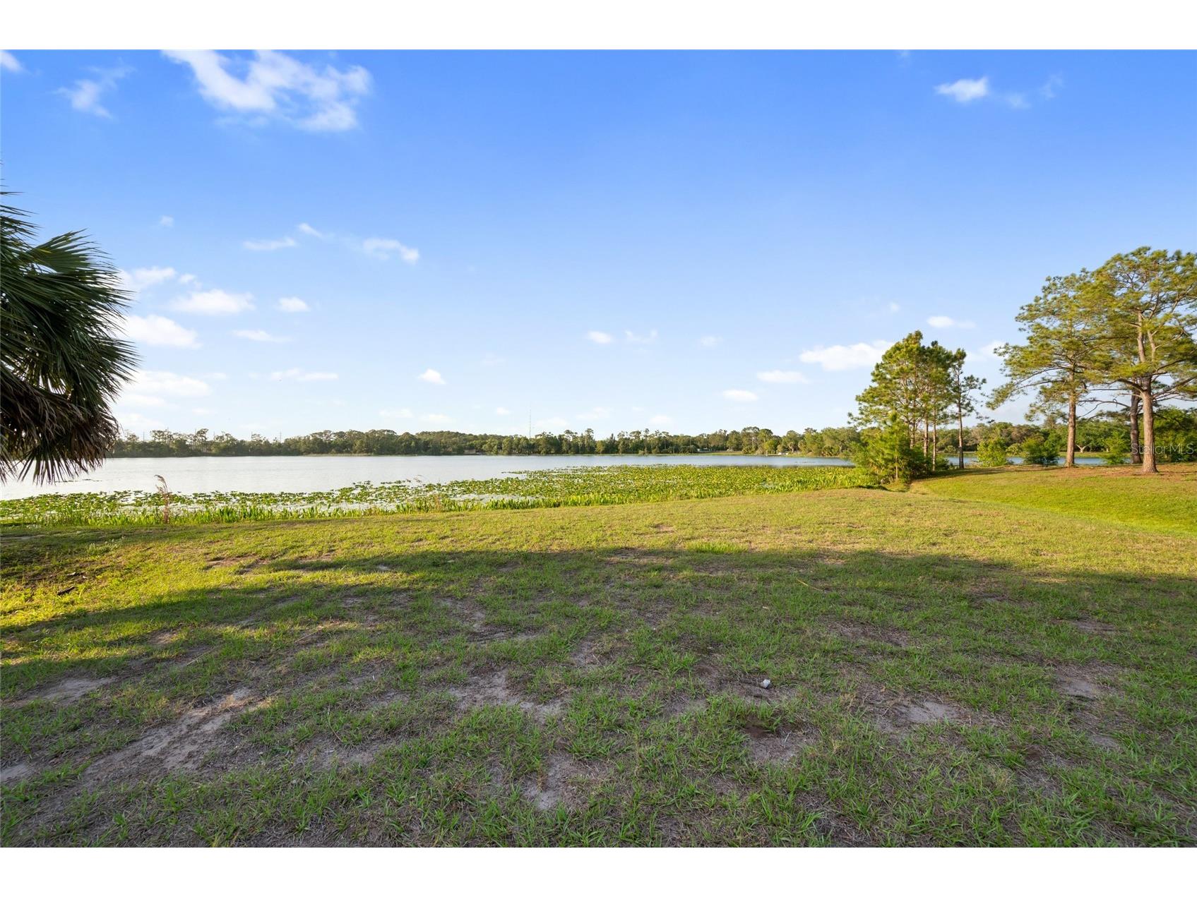 11775 112th Avenue Seminole FL 33778 TB8513363 image54