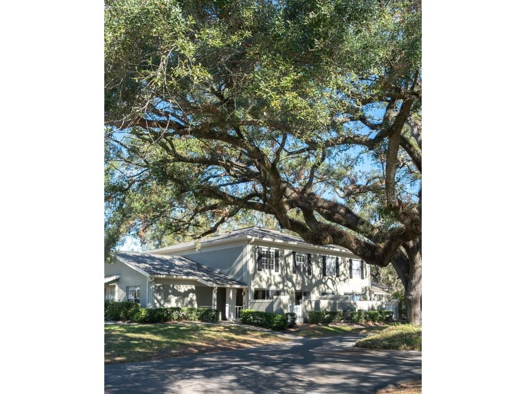 11775 Raintree Drive Tampa FL 33617 TB8327753 image1