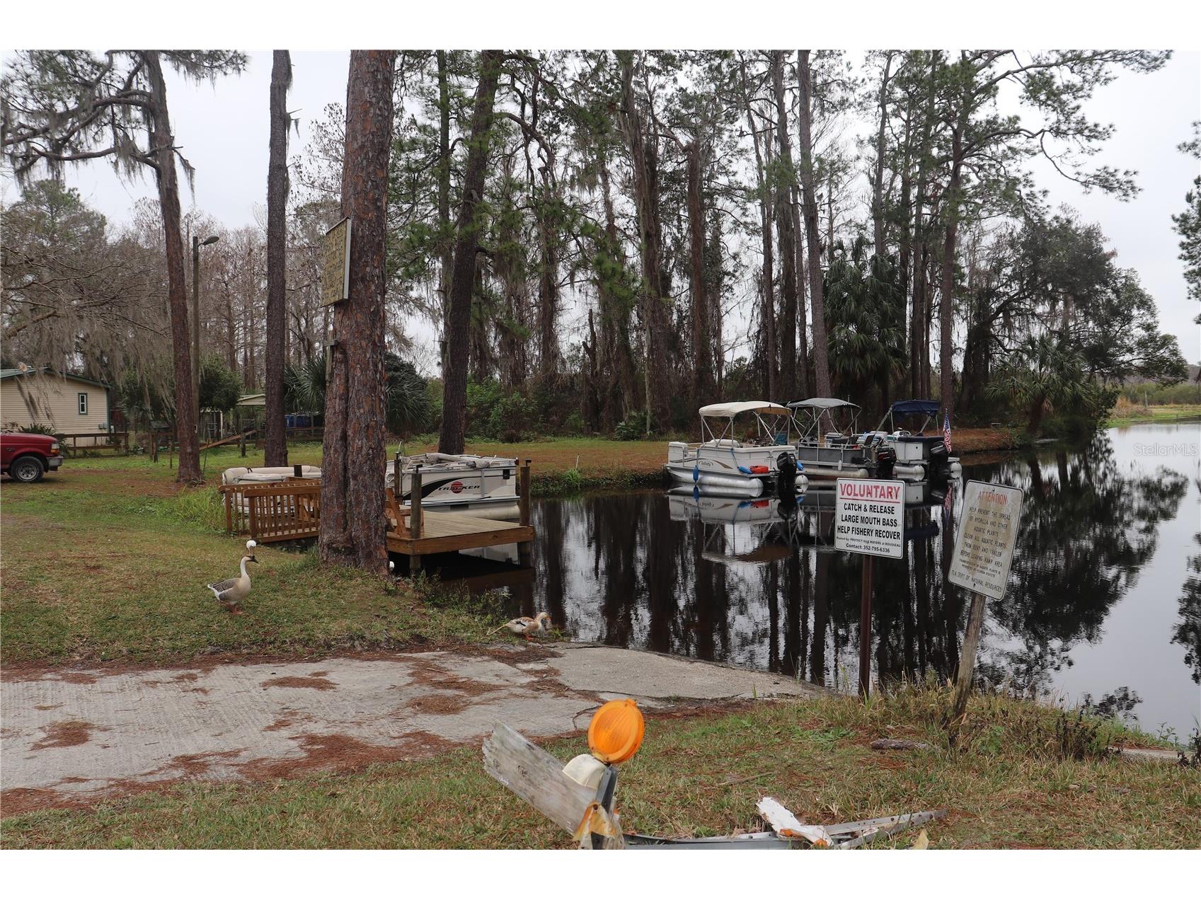 11778 SW 230th Avenue Road Dunnellon FL 34431 OM716824 image36