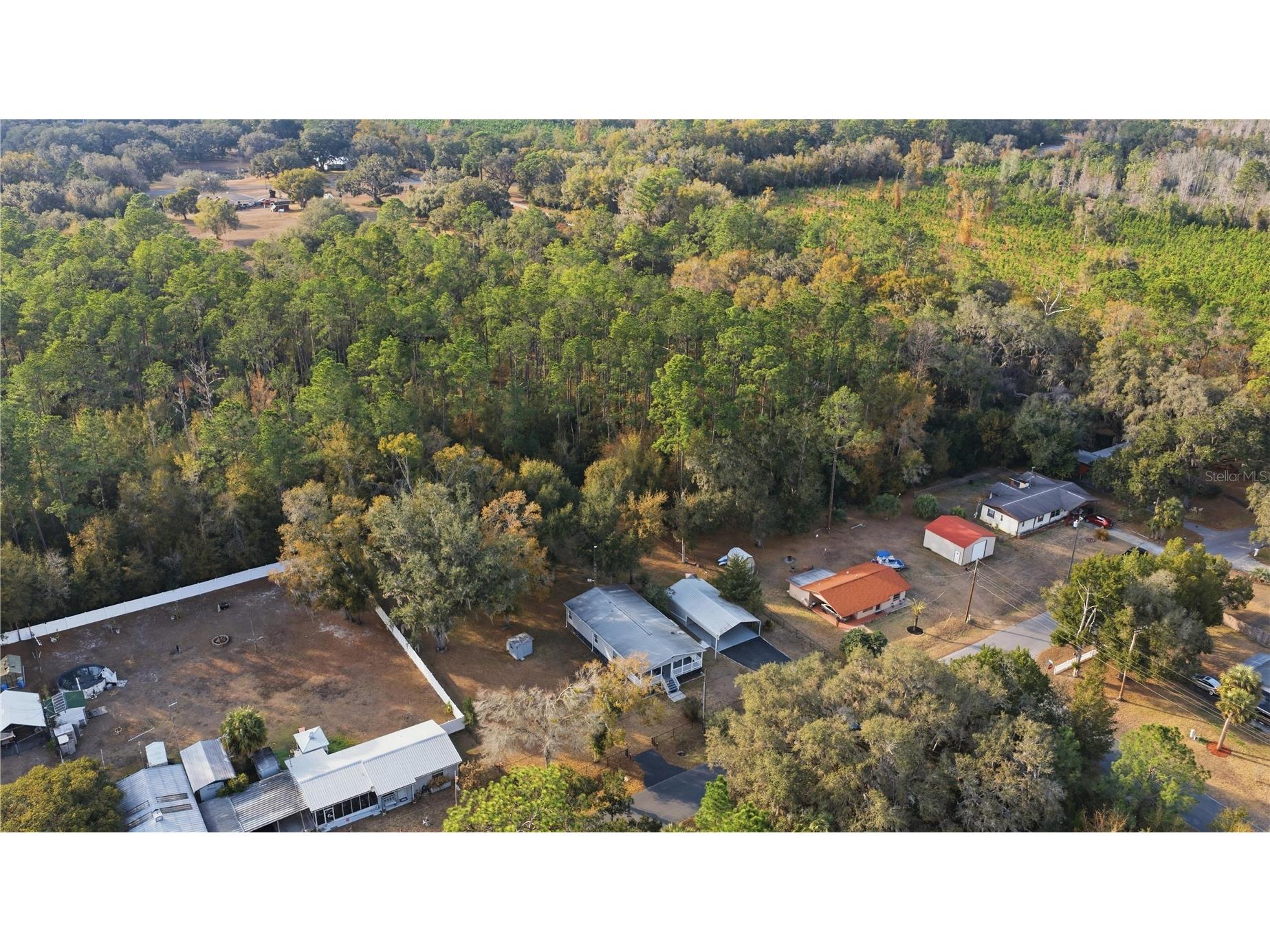 11778 SW 230th Avenue Road Dunnellon FL 34431 OM716824 image41