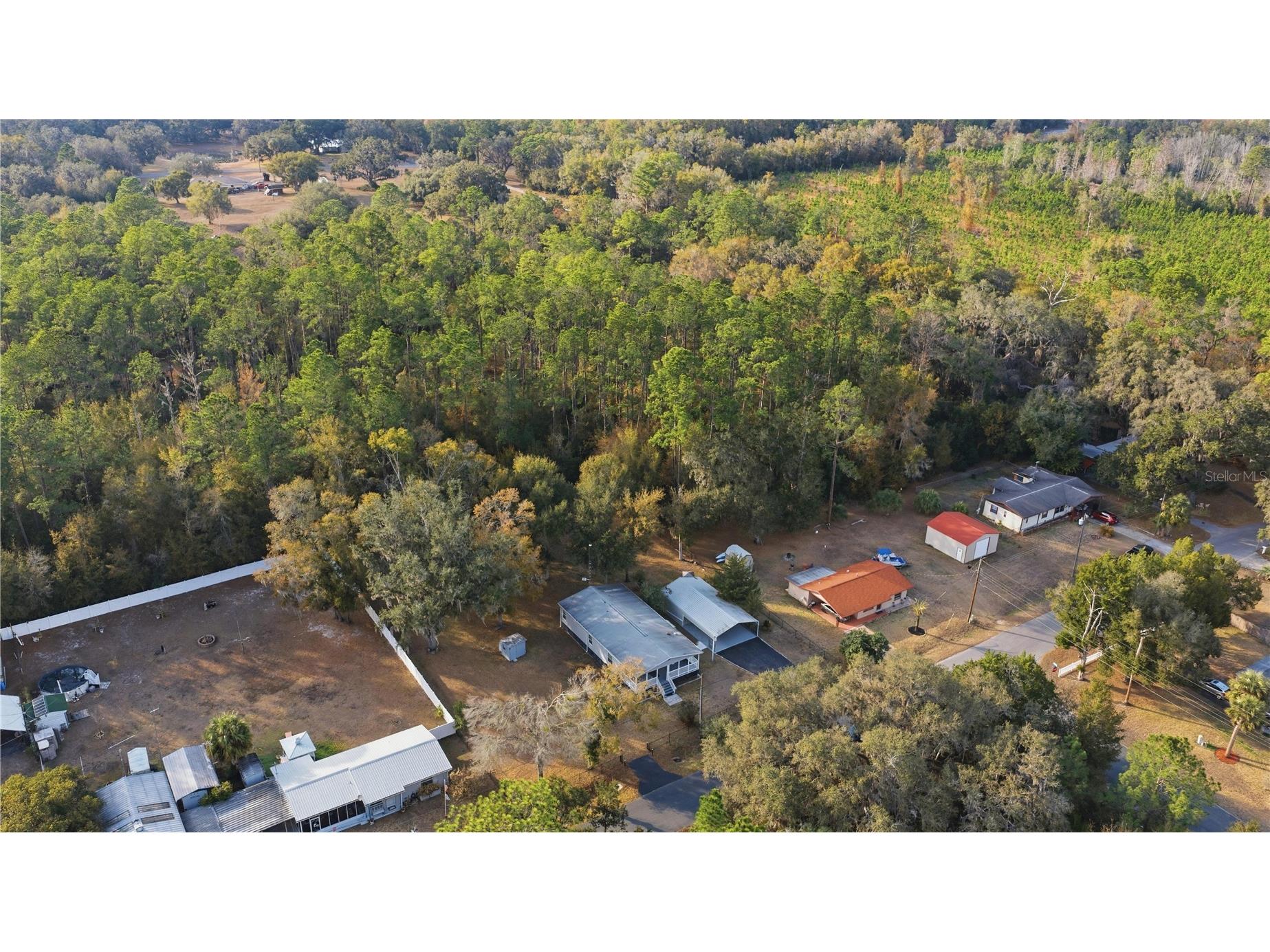 11778 SW 230th Avenue Road Dunnellon FL 34431 OM716824 image42