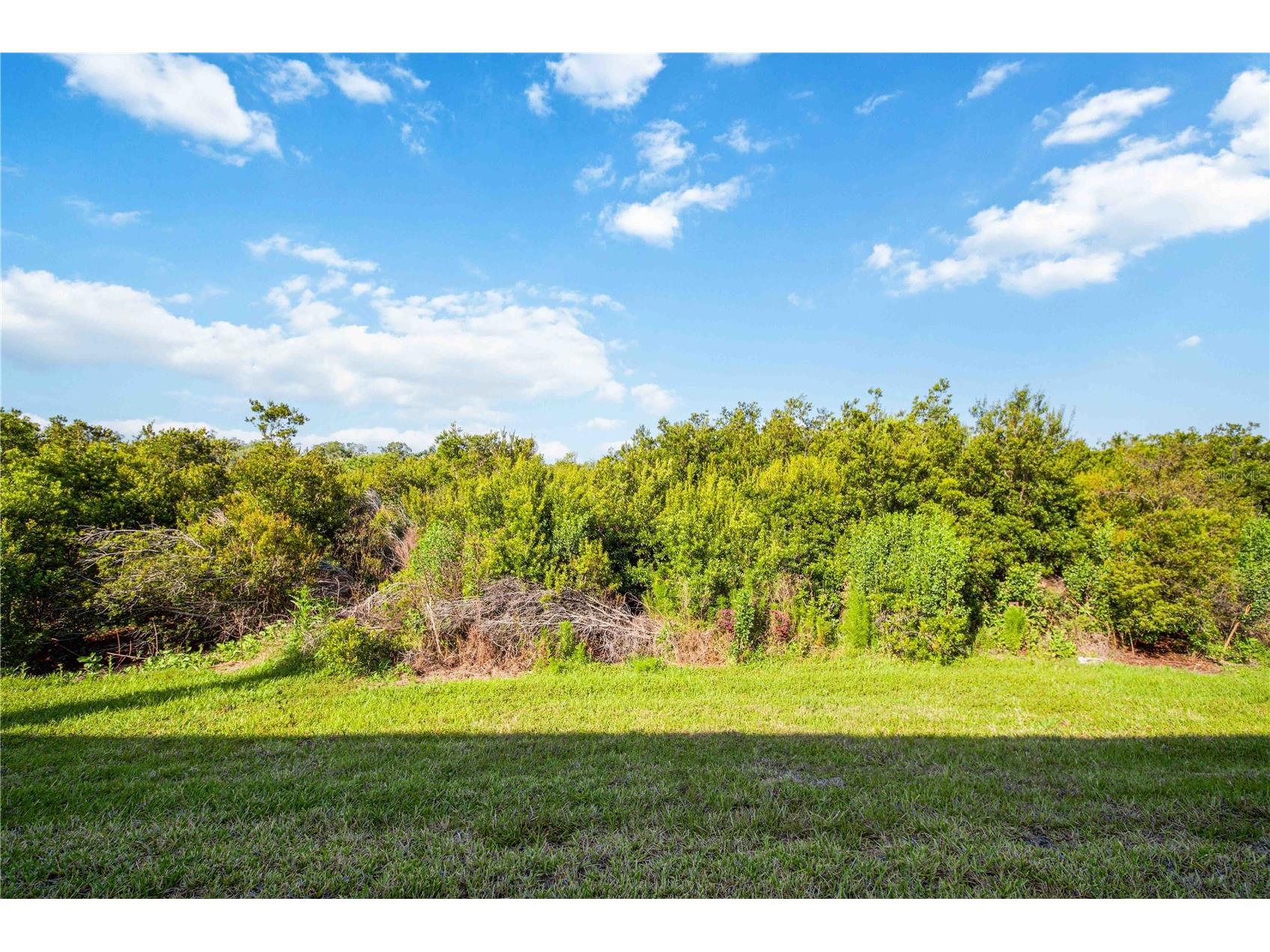 11779 Glenside Terrace Palmetto FL 34221 A4692753 image39