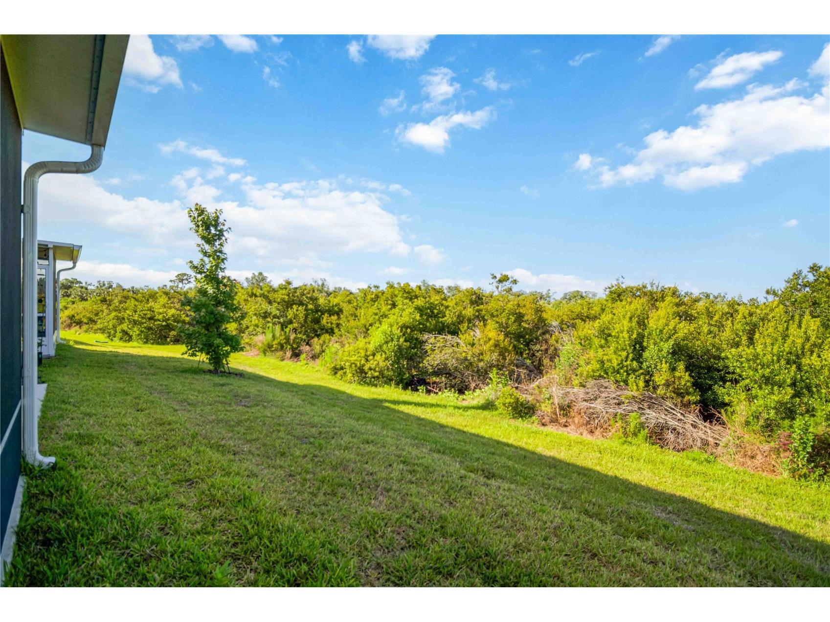 11779 Glenside Terrace Palmetto FL 34221 A4692753 image55