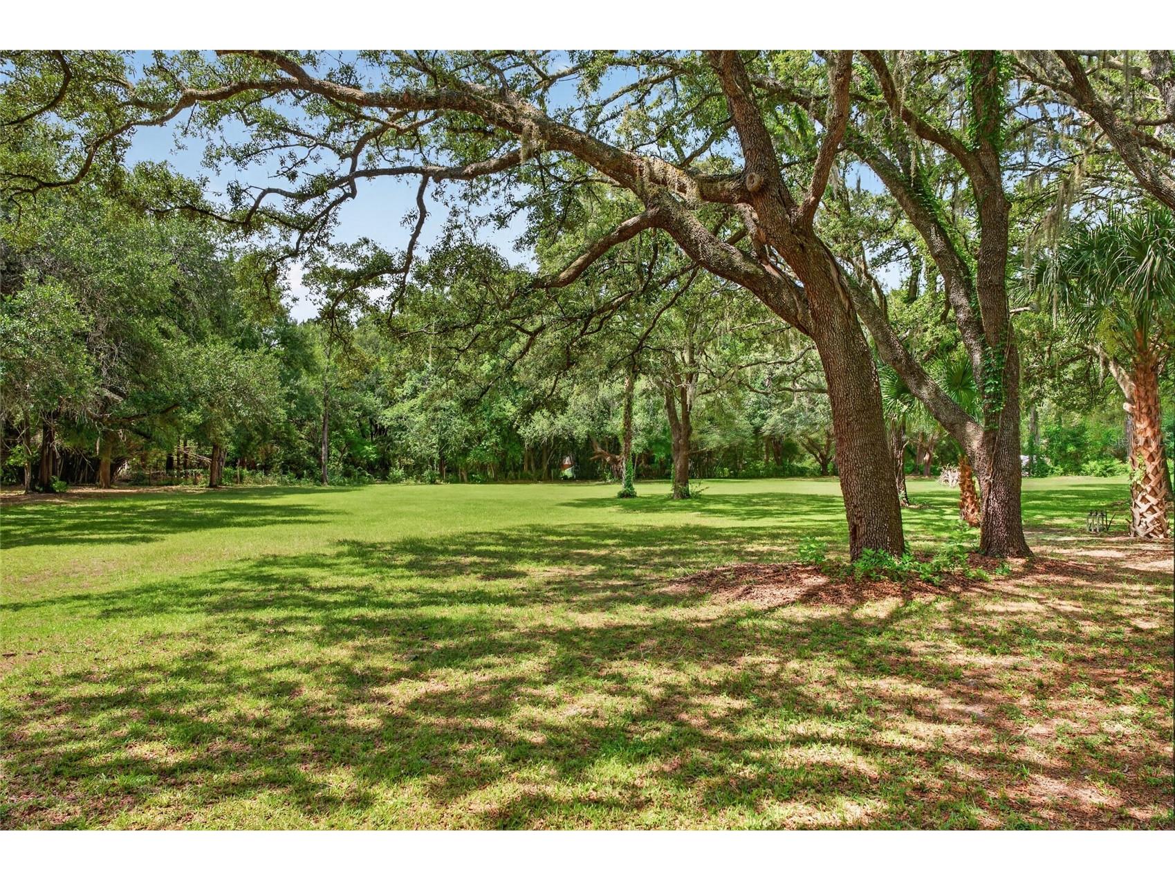 11782 SW 140th Street Dunnellon FL 34432 OM726770 image25