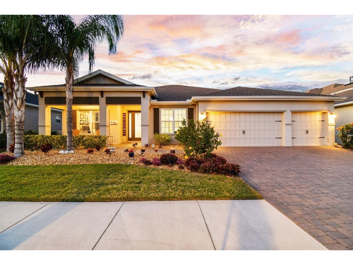 11785 Lake Lucaya Drive Riverview FL 33579 T3547158 image1