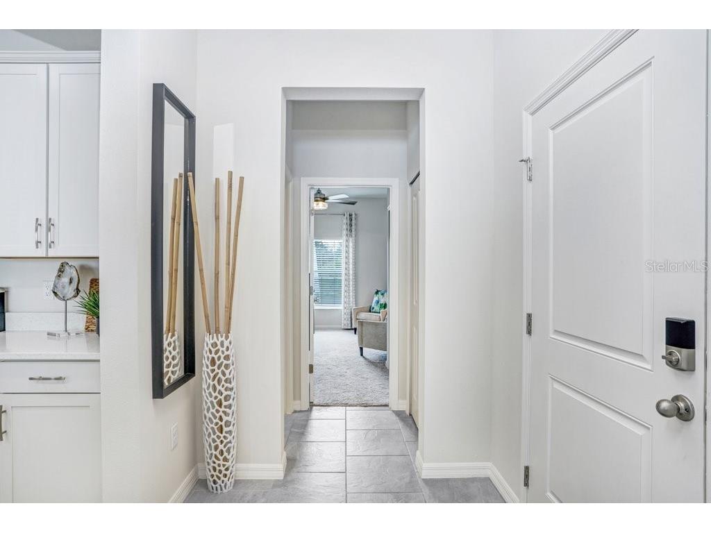 11786 Blackbrook Court Seffner FL 33584 TB8478741 image3
