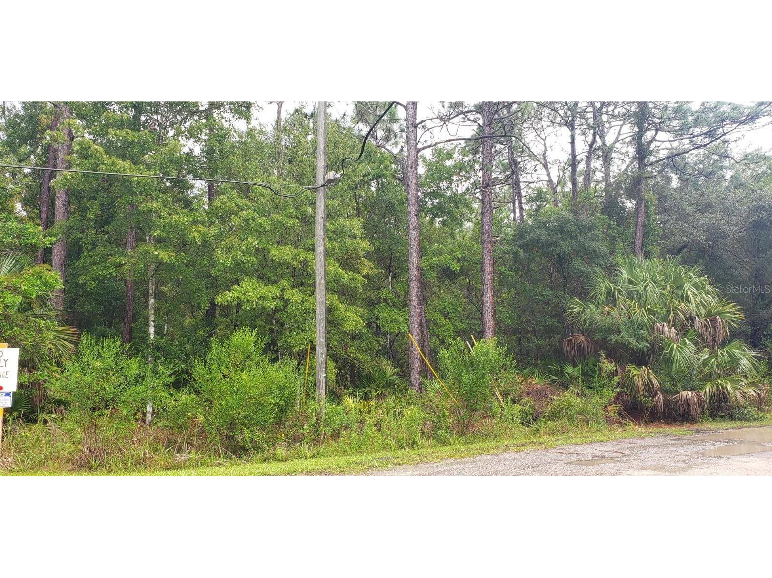 1179 N Tessa Terrace Crystal River FL 34429 G5086914 image1