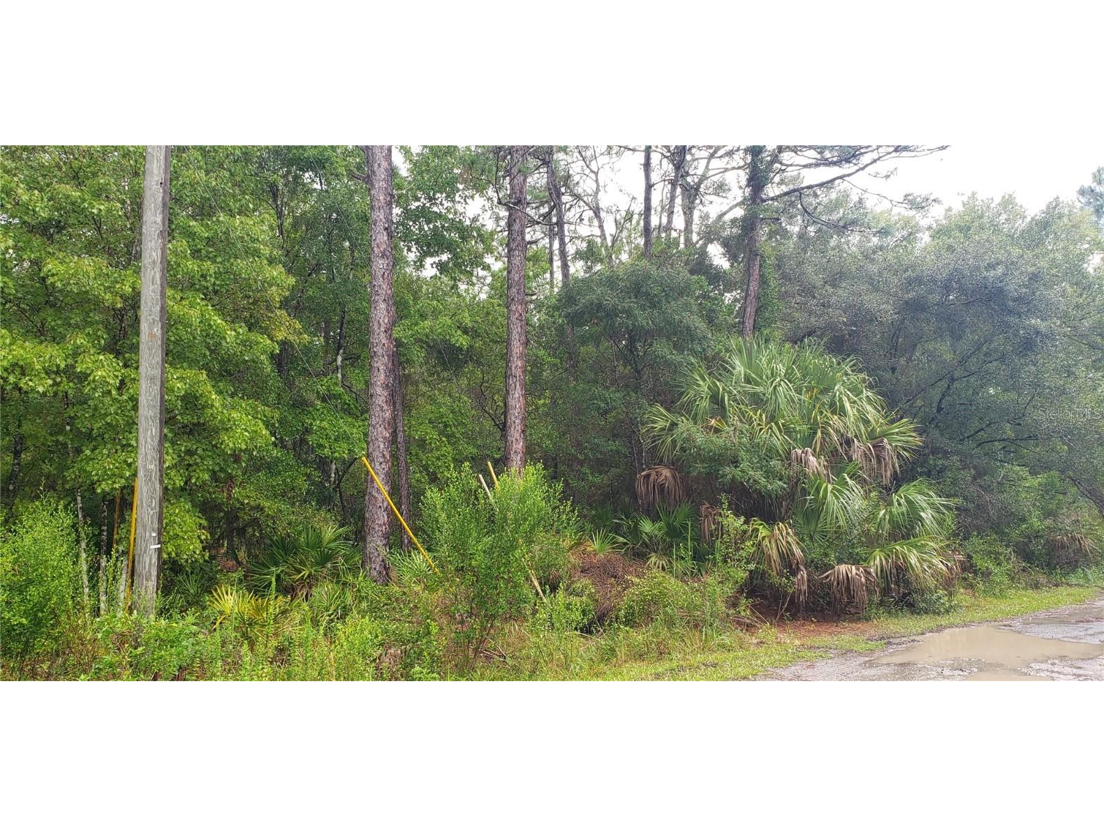1179 N Tessa Terrace Crystal River FL 34429 G5086914 image2