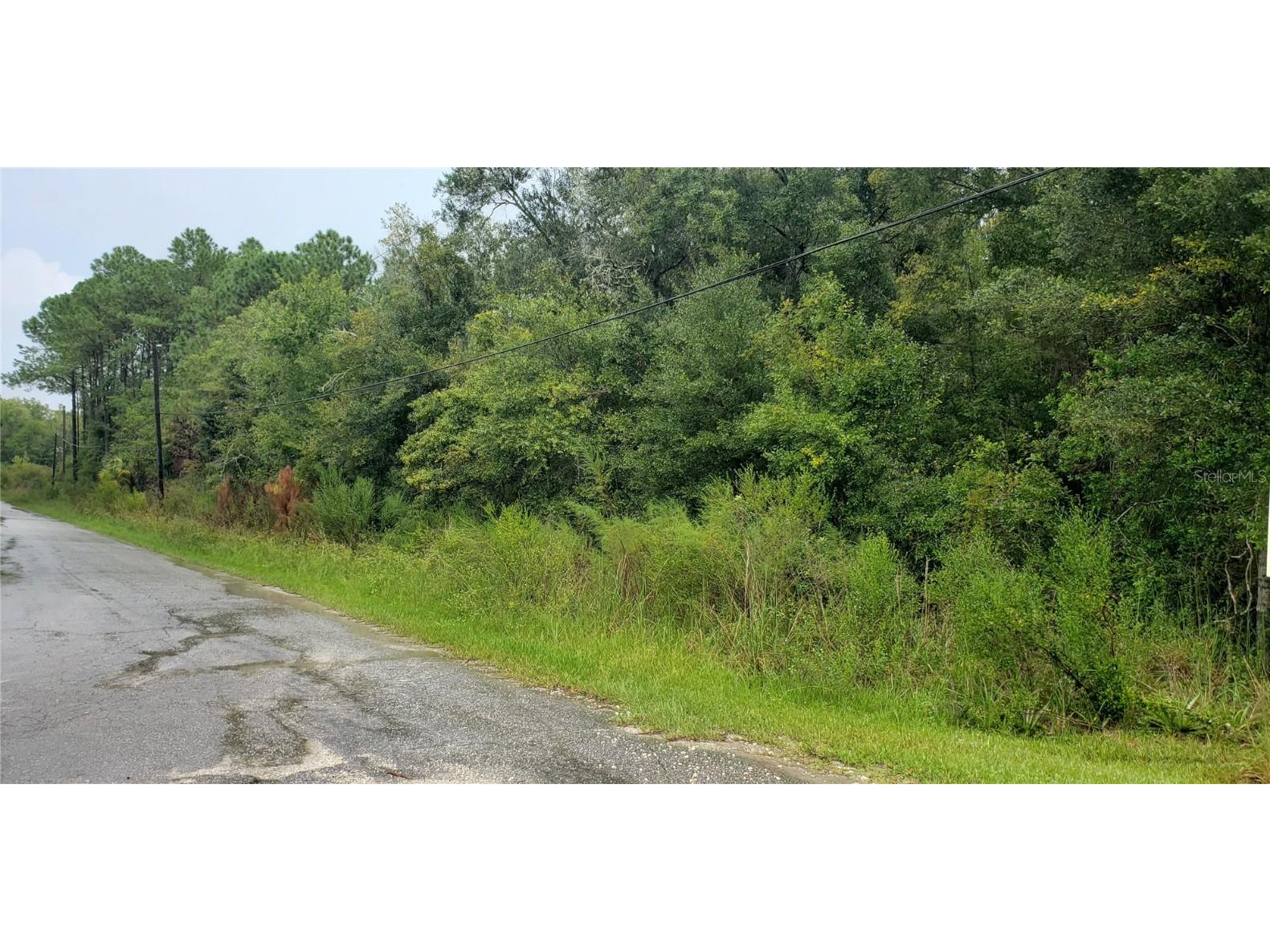 1179 N Tessa Terrace Crystal River FL 34429 G5086914 image3