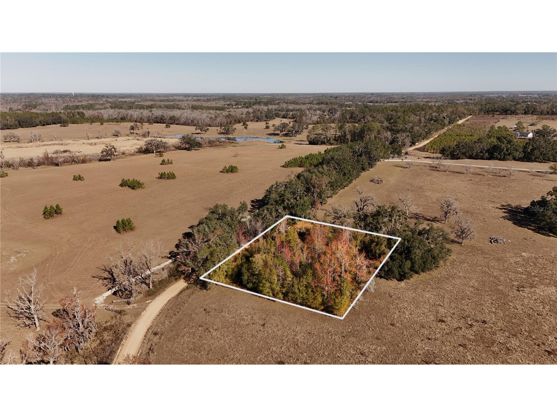 1179 NW Jersey Road Greenville FL 32331 A4678699 image1