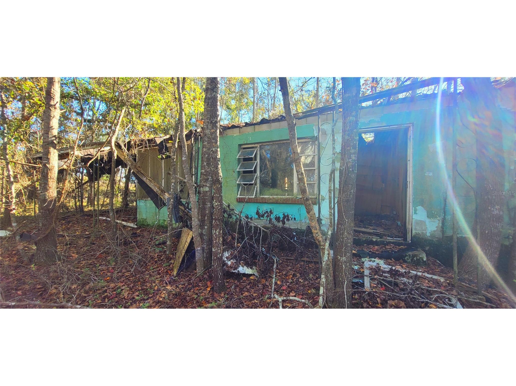 1179 NW Jersey Road Greenville FL 32331 A4678699 image10