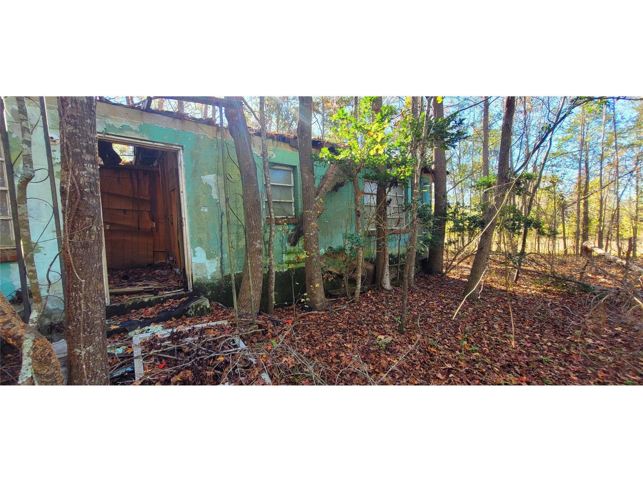 1179 NW Jersey Road Greenville FL 32331 A4678699 image11