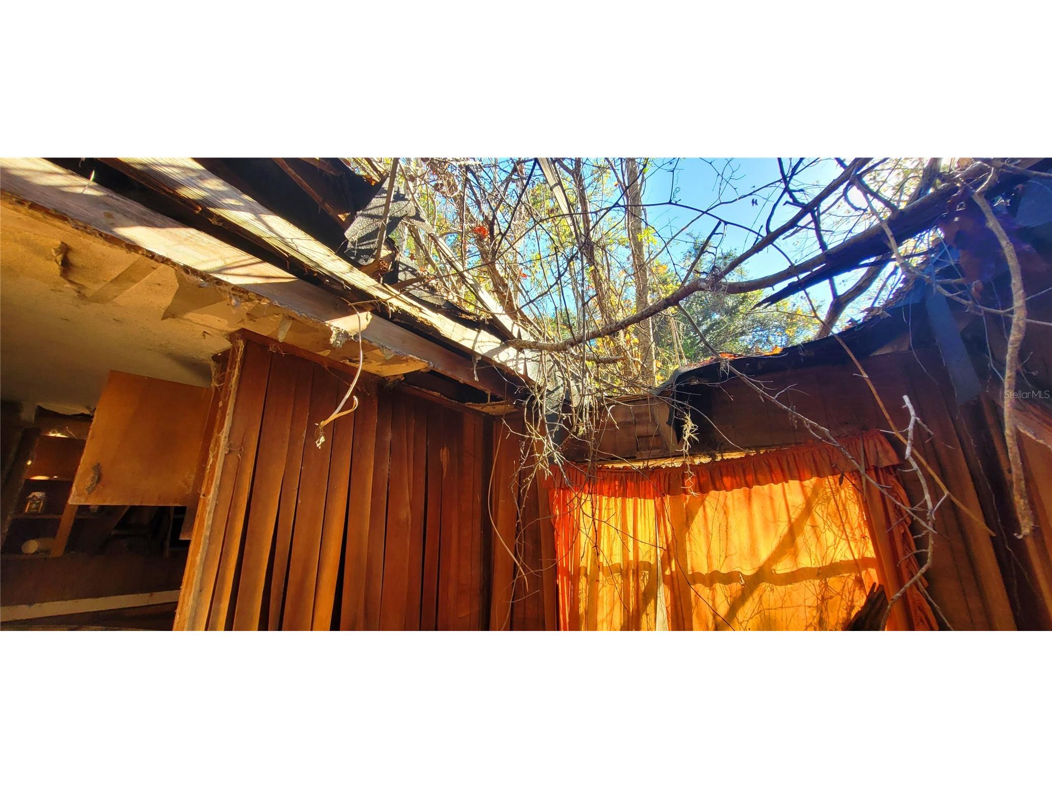 1179 NW Jersey Road Greenville FL 32331 A4678699 image12