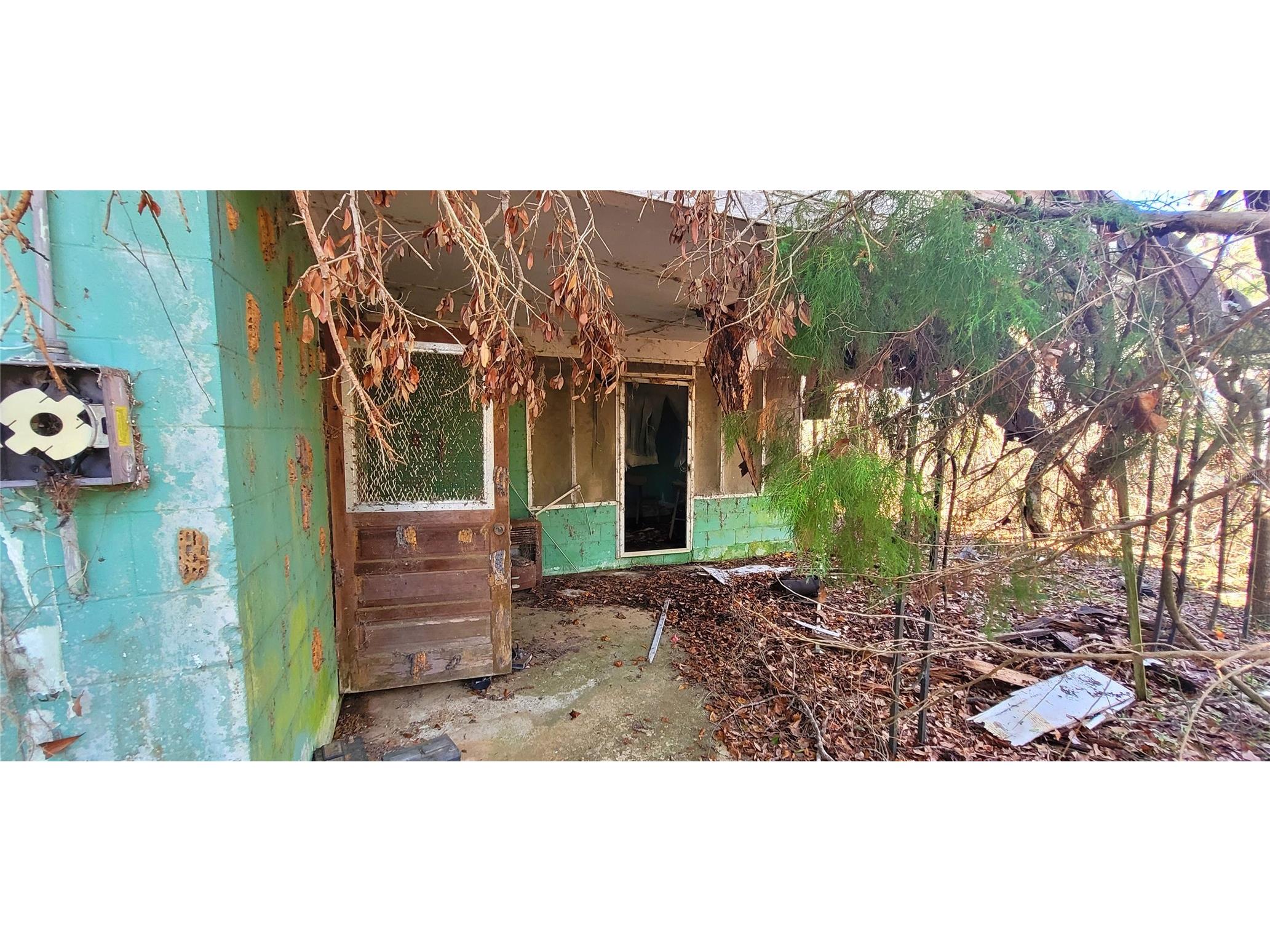 1179 NW Jersey Road Greenville FL 32331 A4678699 image13