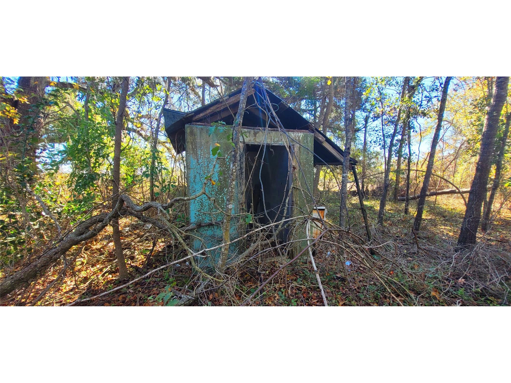 1179 NW Jersey Road Greenville FL 32331 A4678699 image14