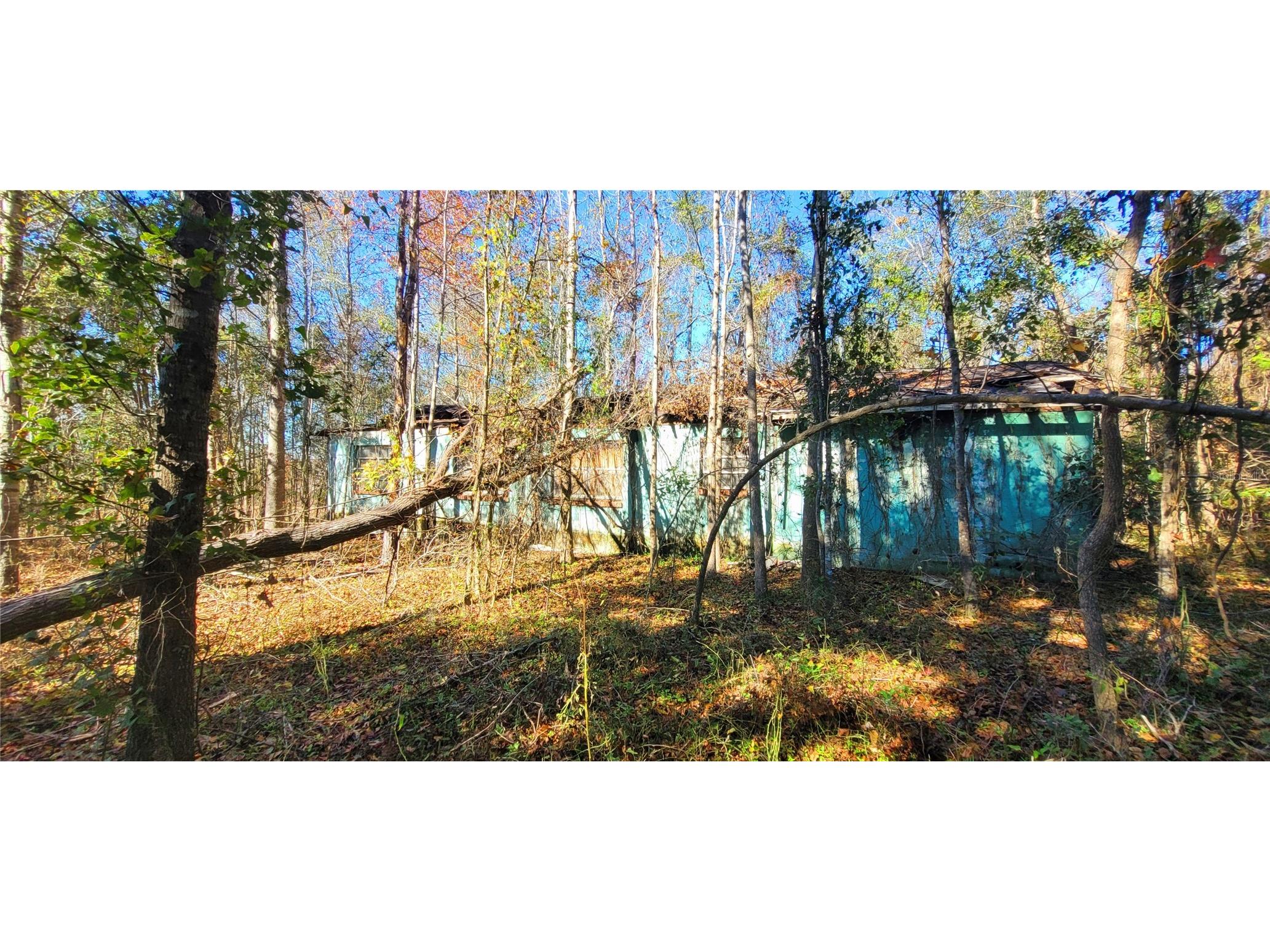 1179 NW Jersey Road Greenville FL 32331 A4678699 image15