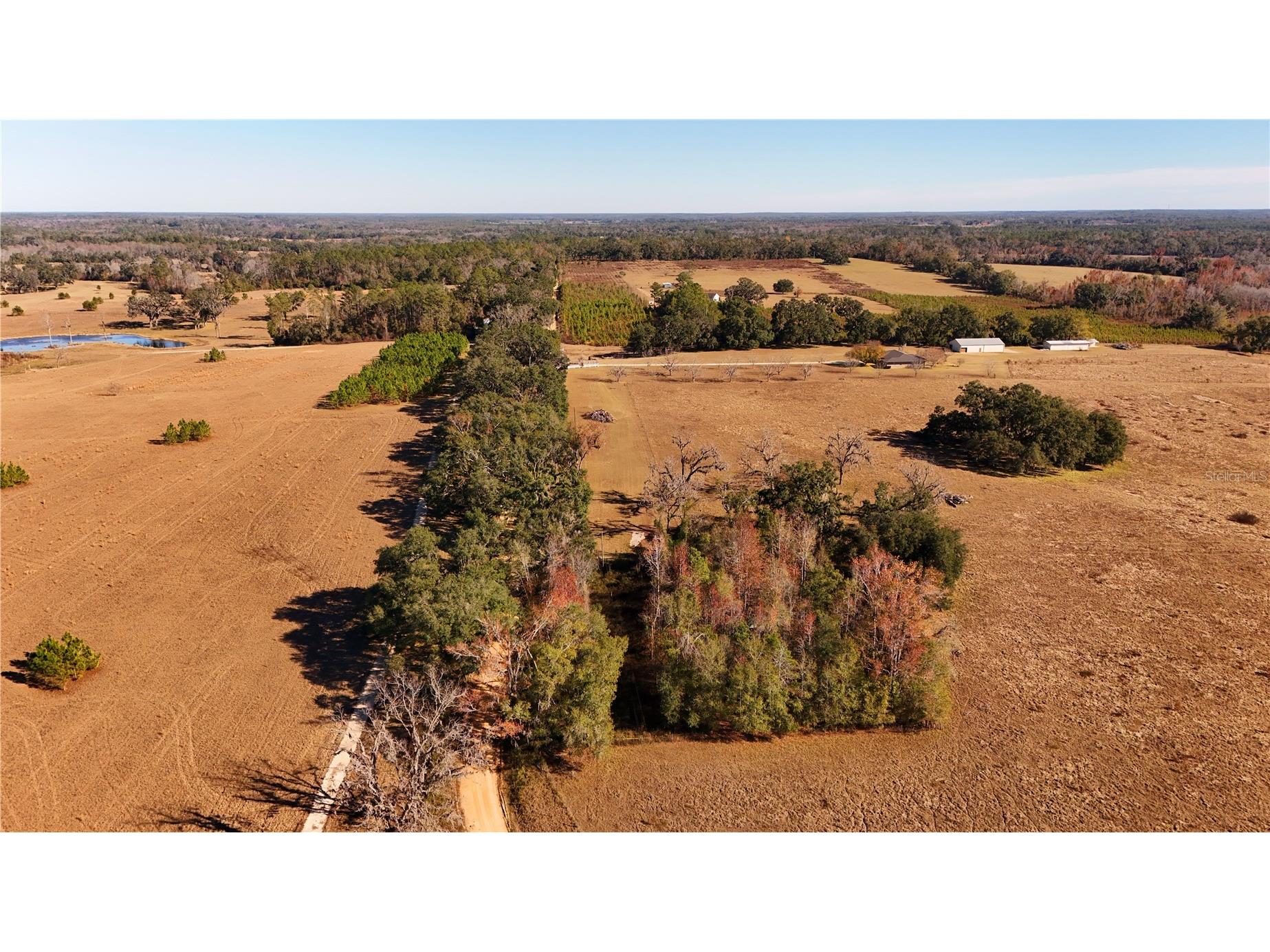 1179 NW Jersey Road Greenville FL 32331 A4678699 image2