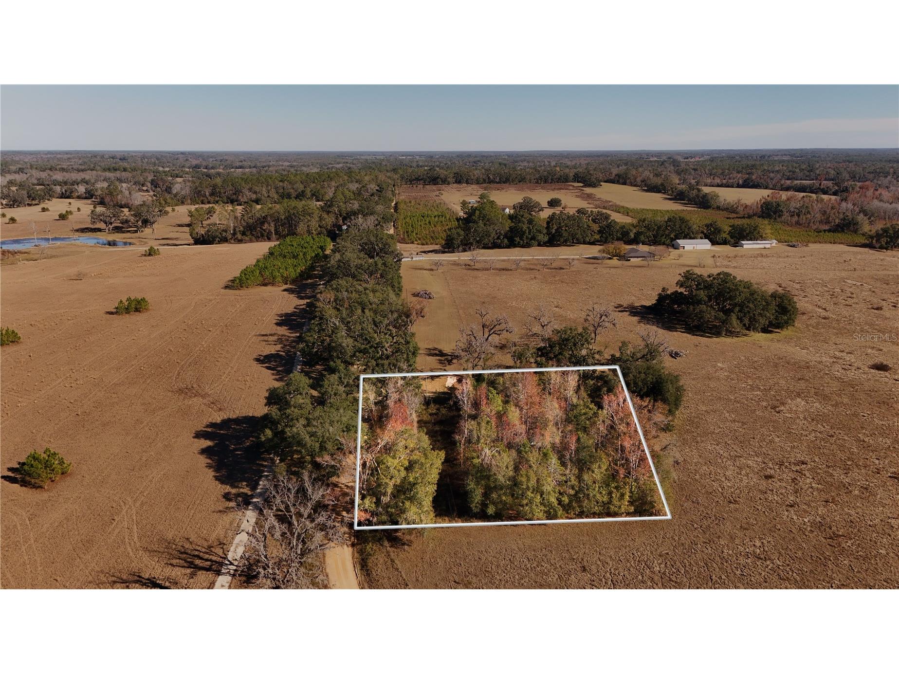 1179 NW Jersey Road Greenville FL 32331 A4678699 image3