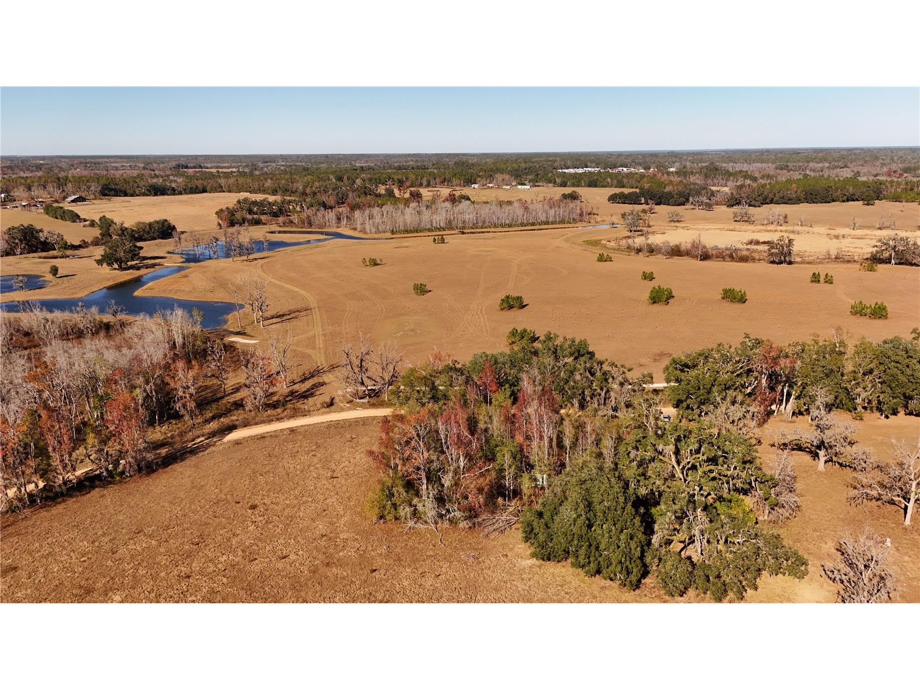 1179 NW Jersey Road Greenville FL 32331 A4678699 image5