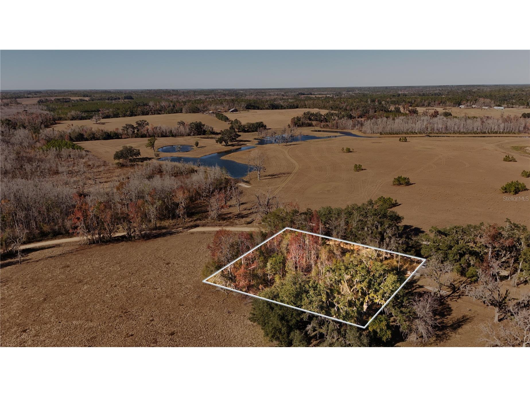 1179 NW Jersey Road Greenville FL 32331 A4678699 image6