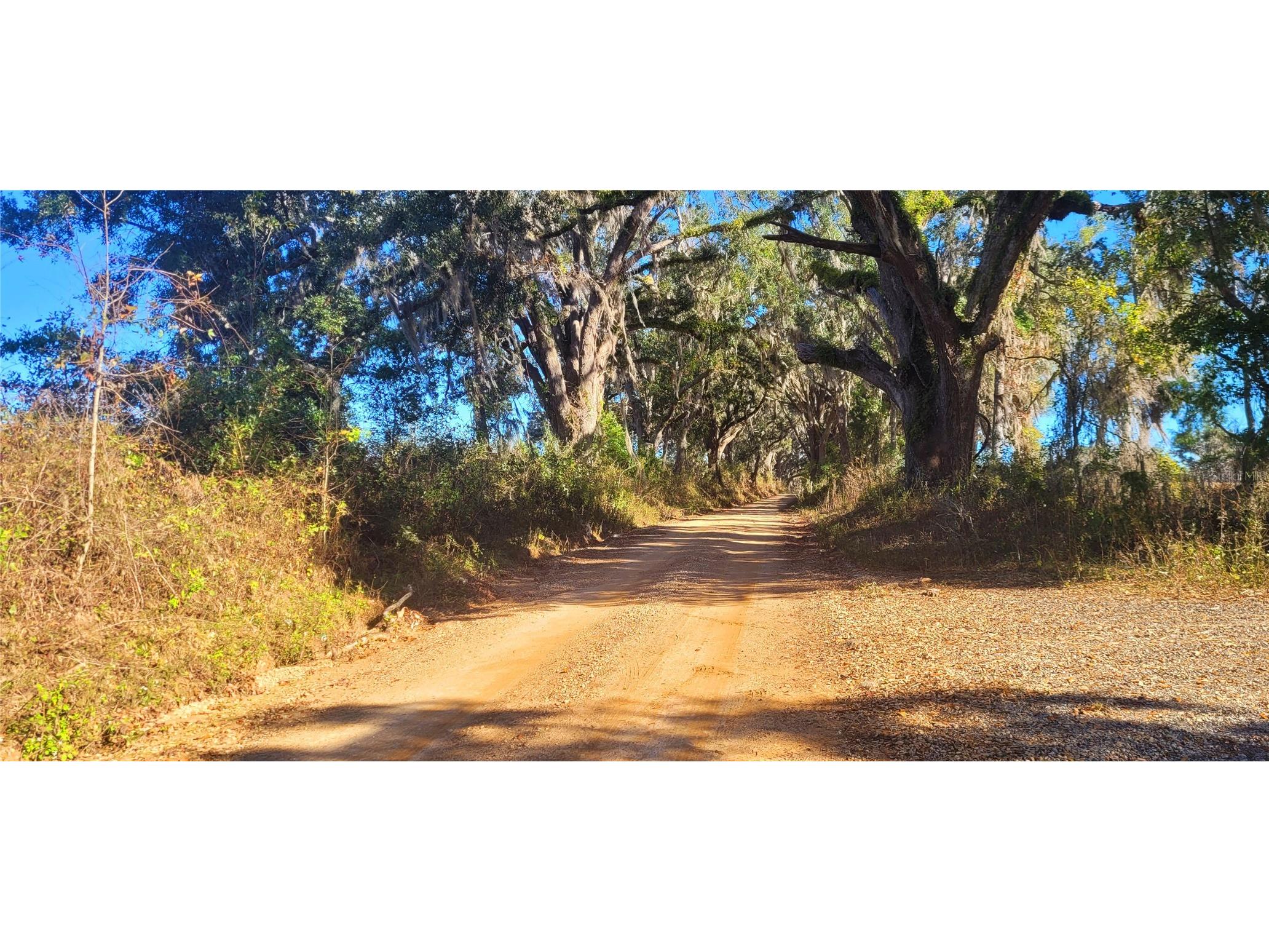 1179 NW Jersey Road Greenville FL 32331 A4678699 image8