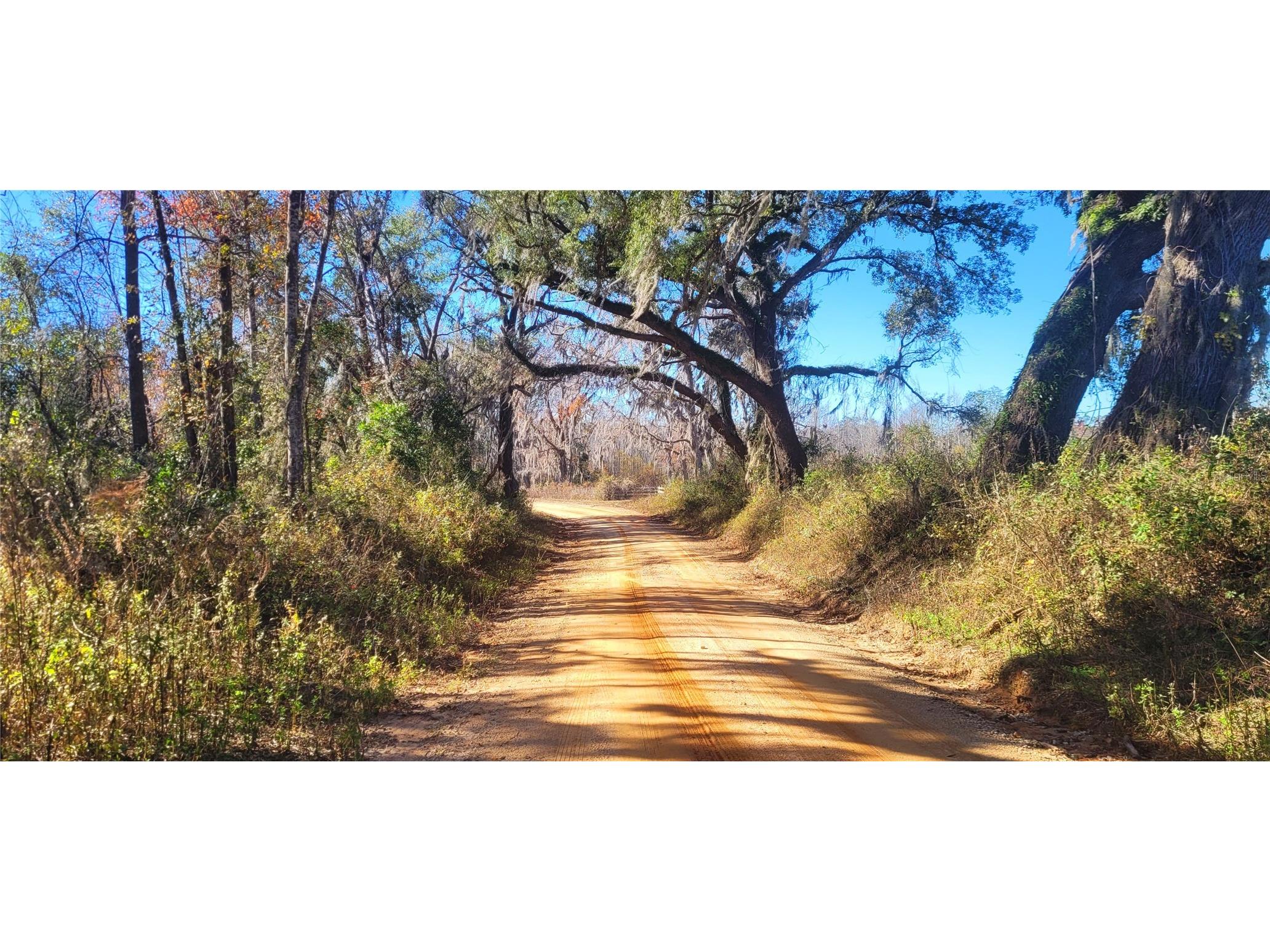 1179 NW Jersey Road Greenville FL 32331 A4678699 image9