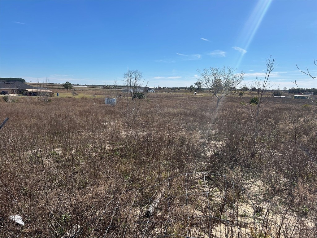 11790 NE 30th Street Bronson FL 32621 OM671556 image1