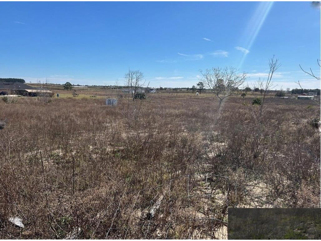 11790 NE 30th Street Bronson FL 32621 OM720653 image11