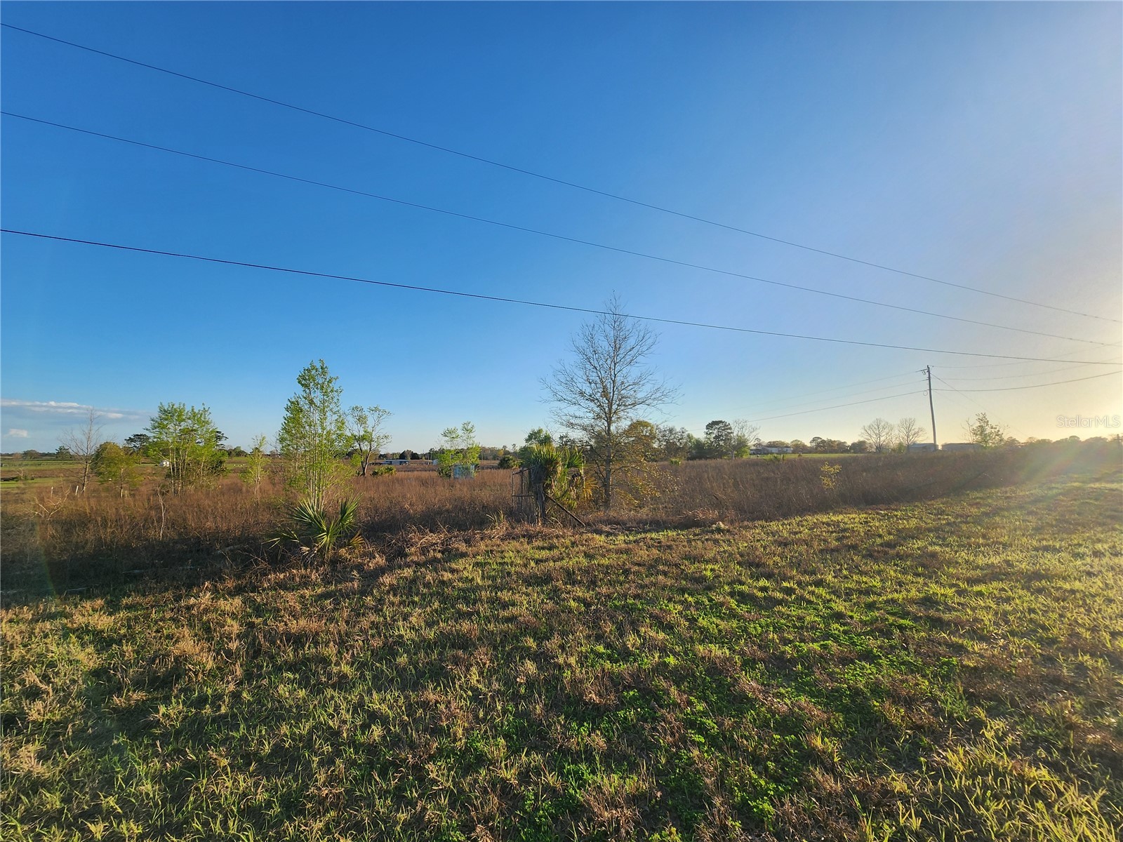 11790 NE 30th Street Bronson FL 32621 OM720653 image3