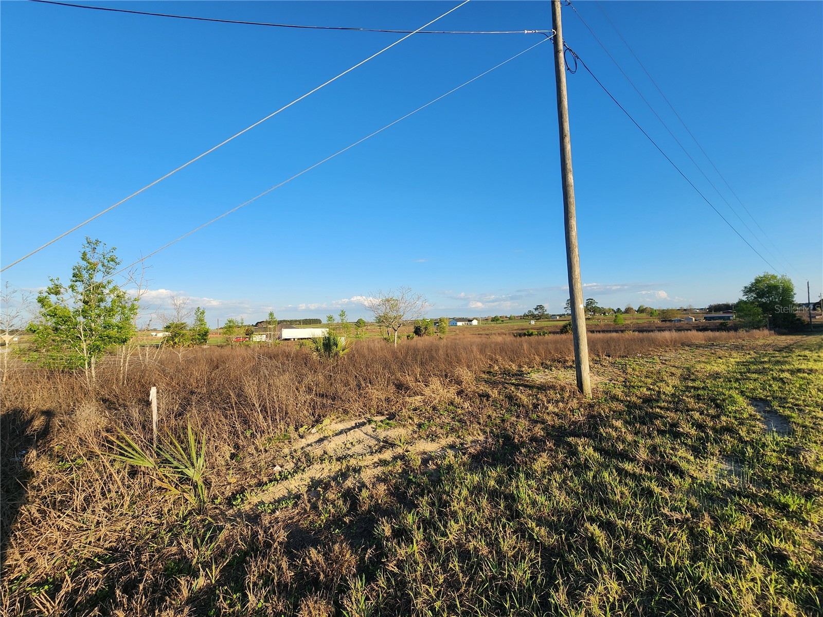 11790 NE 30th Street Bronson FL 32621 OM720653 image5