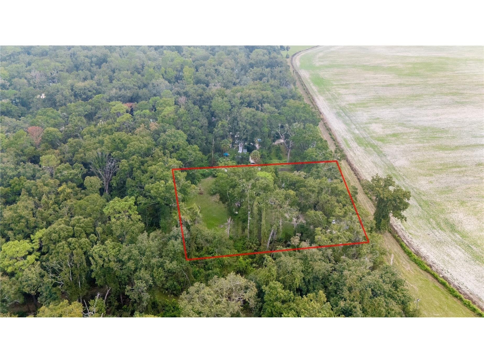 11790 NW 110th Avenue Chiefland FL 32626 GC533319 image1