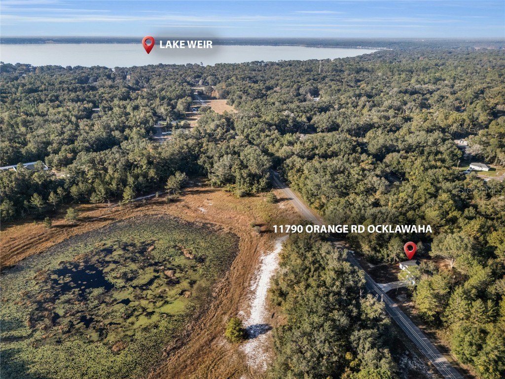 11790 Orange Road Ocklawaha FL 32179 S5139643 image4