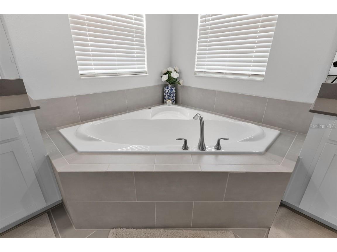 11791 Language Way Orlando FL 32832 O6337773 image36