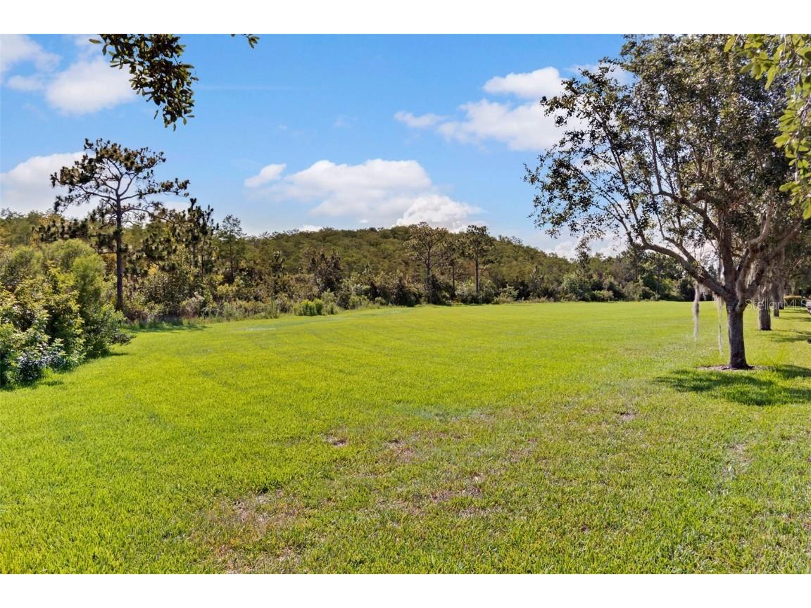 11794 Barletta Drive Orlando FL 32827 S5136454 image31