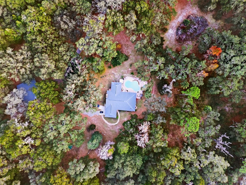 11795 SW Highway 484 Dunnellon FL 34432 O6365608 image1