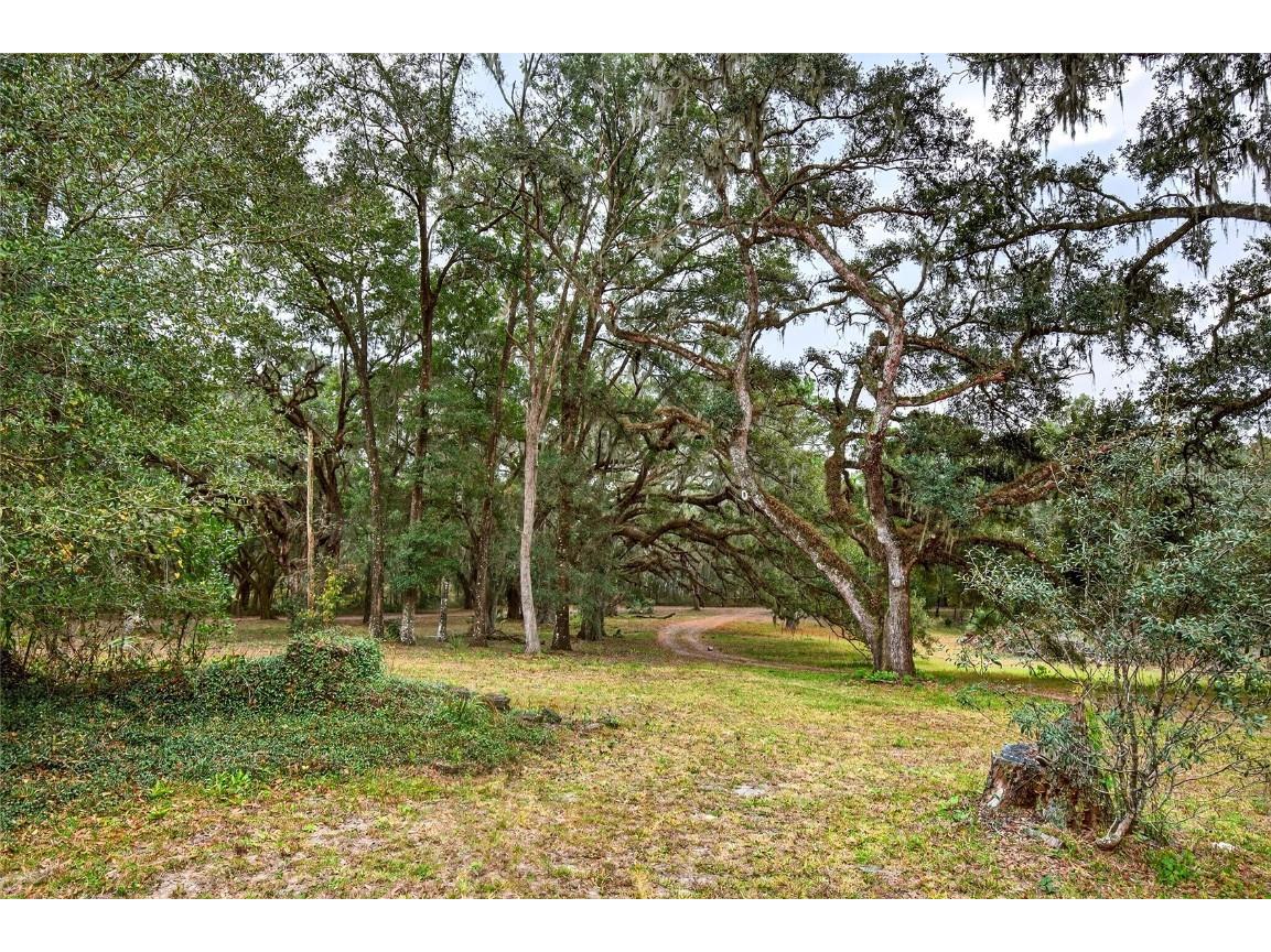 11795 SW Highway 484 Dunnellon FL 34432 O6365608 image47