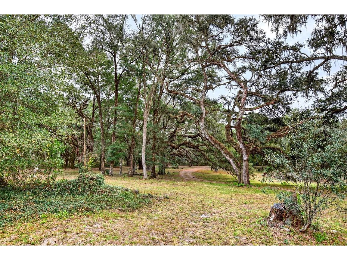 11795 SW Highway 484 Dunnellon FL 34432 O6365608 image49