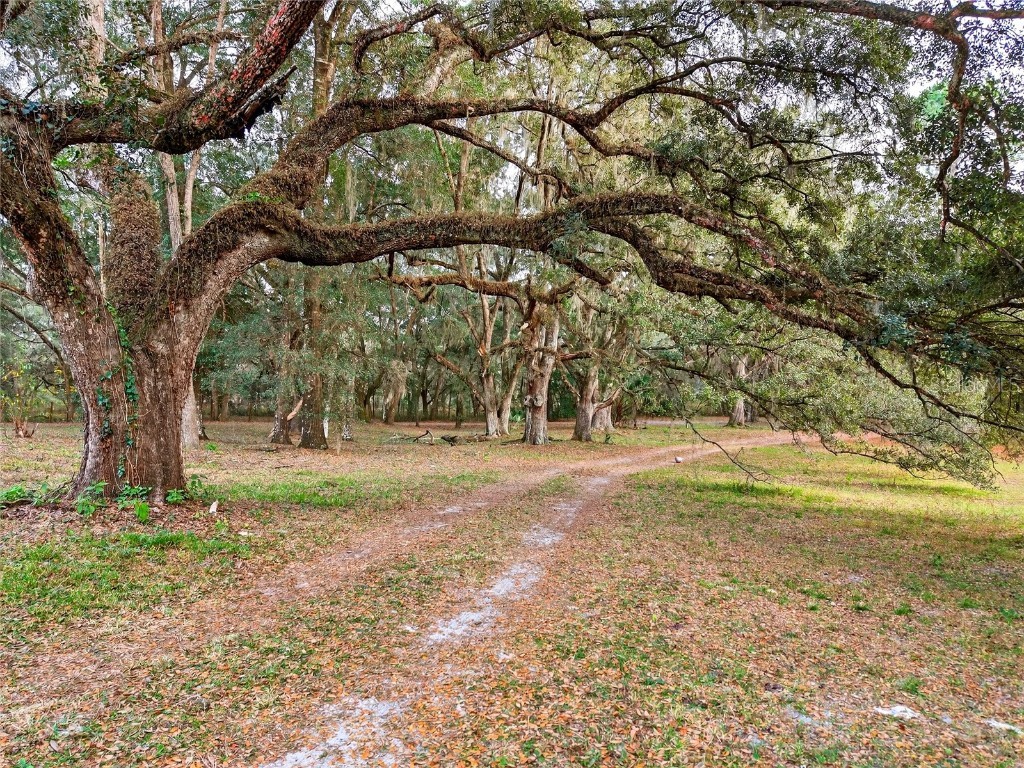 11795 SW Highway 484 Dunnellon FL 34432 O6365608 image50