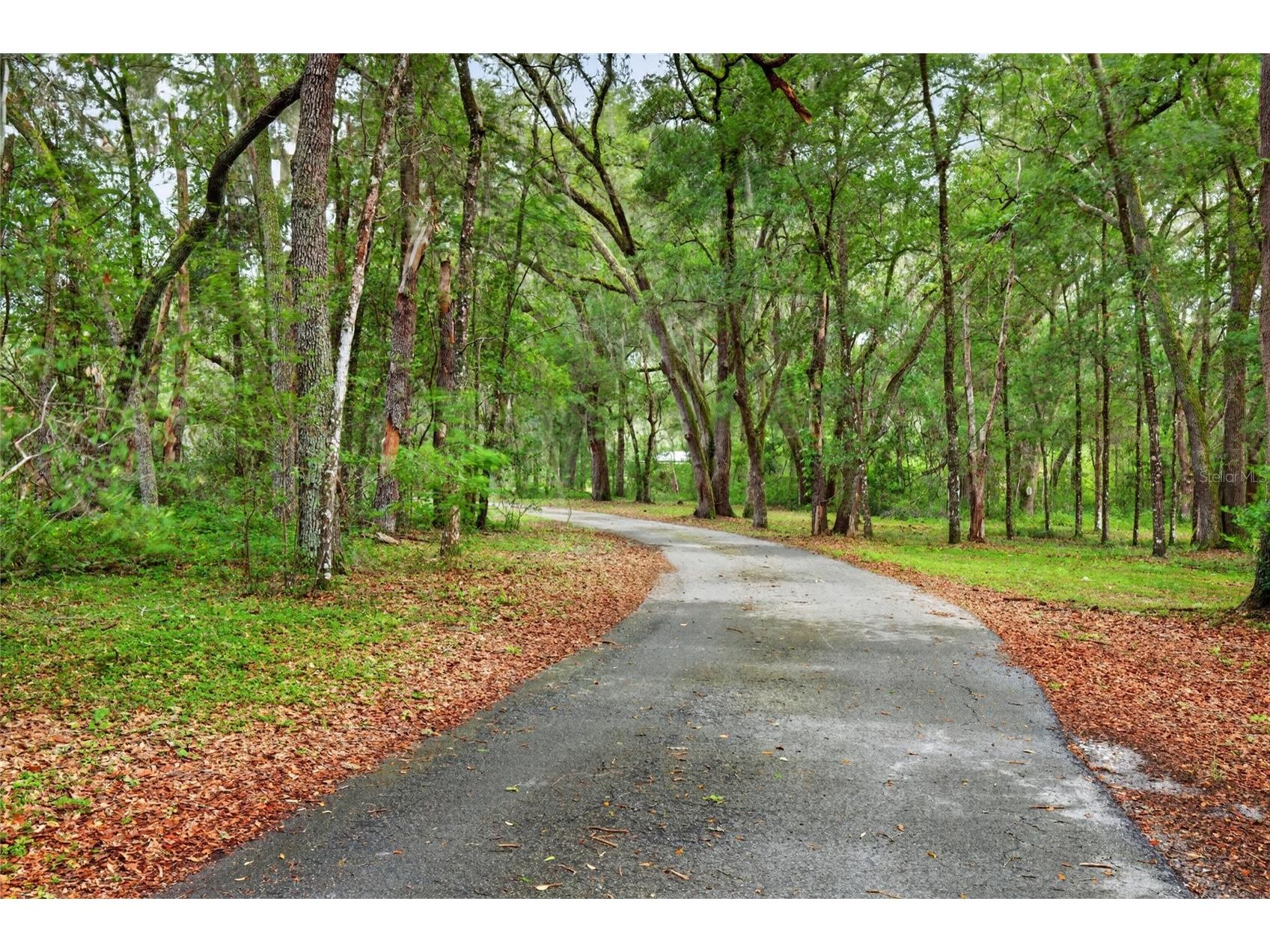 11795 SW Highway 484 Dunnellon FL 34432 O6423543 image5
