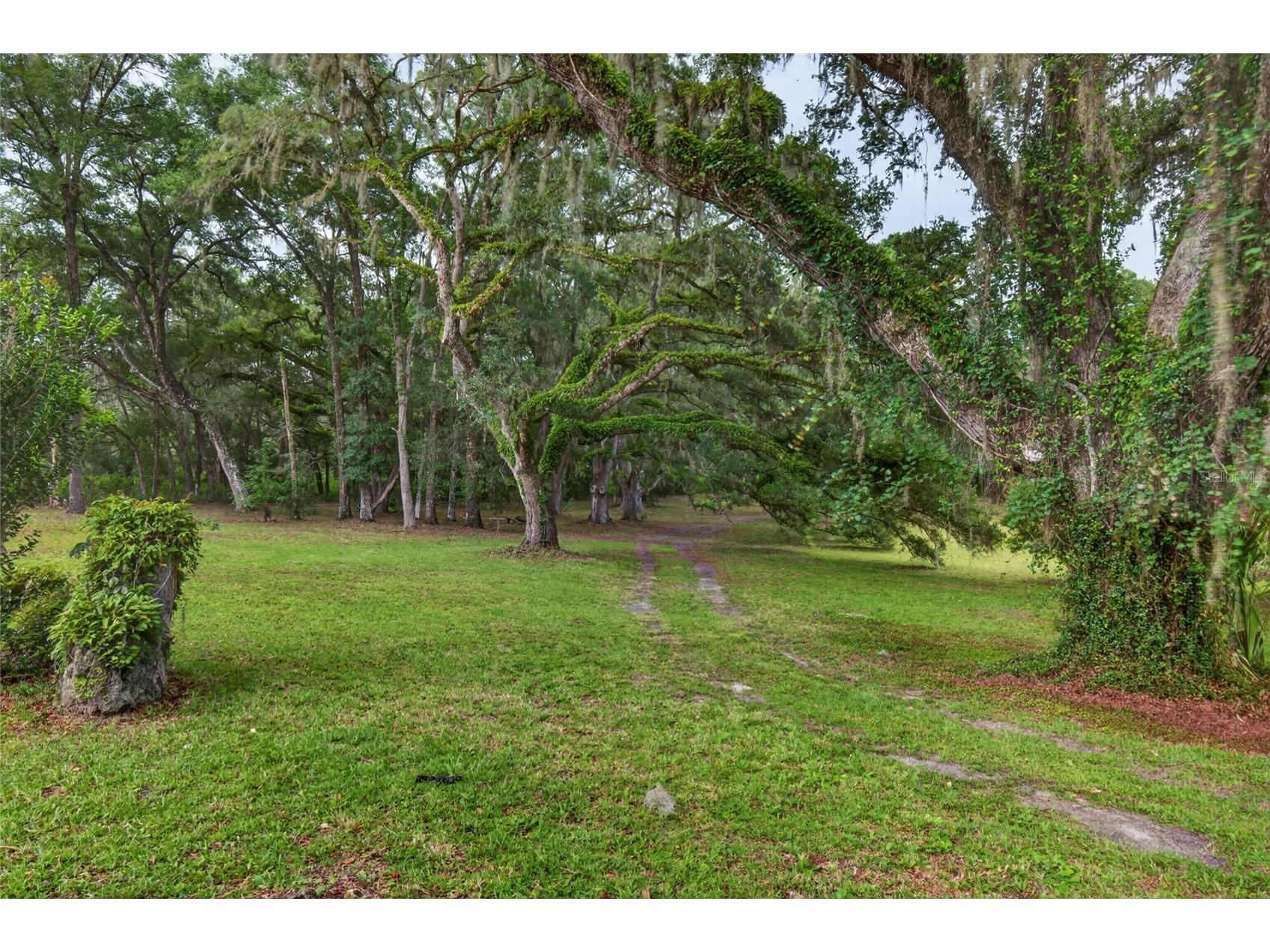 11795 SW Highway 484 Dunnellon FL 34432 O6423543 image63
