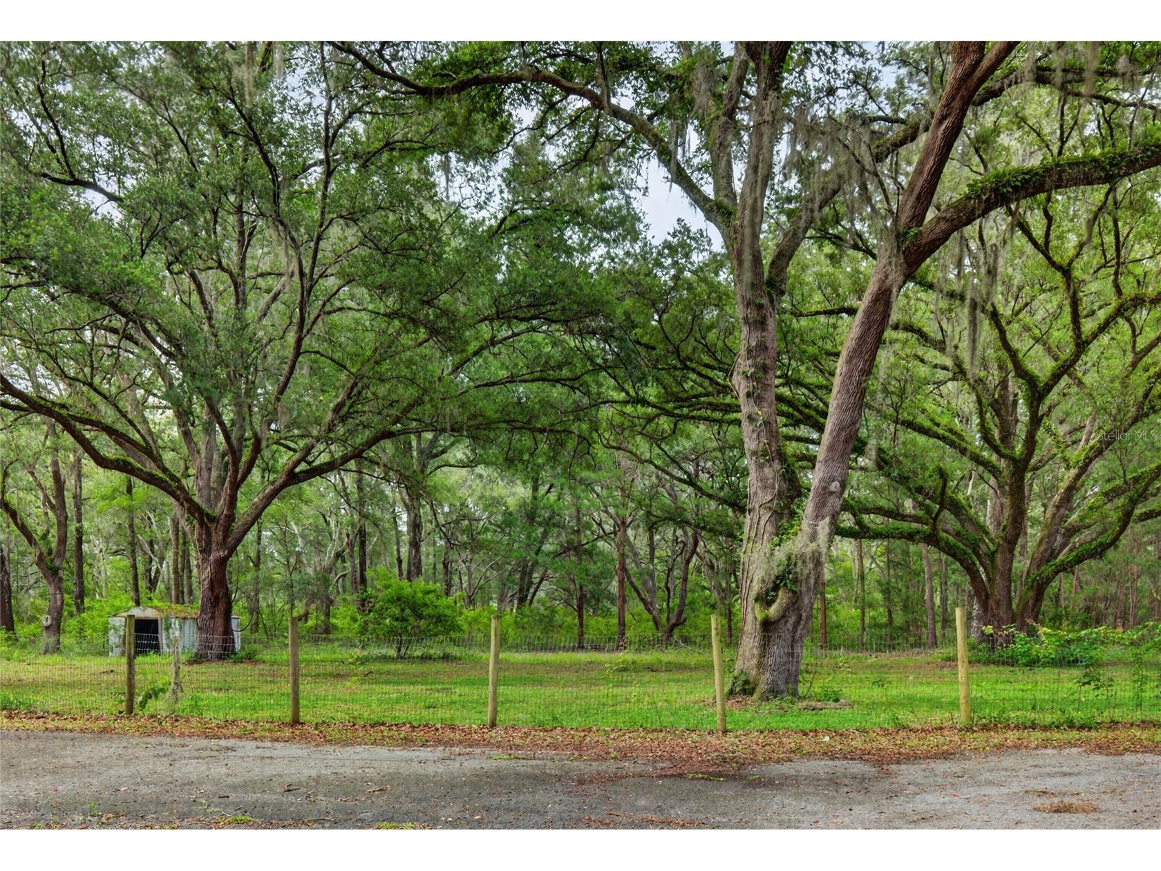11795 SW Highway 484 Dunnellon FL 34432 O6423543 image64