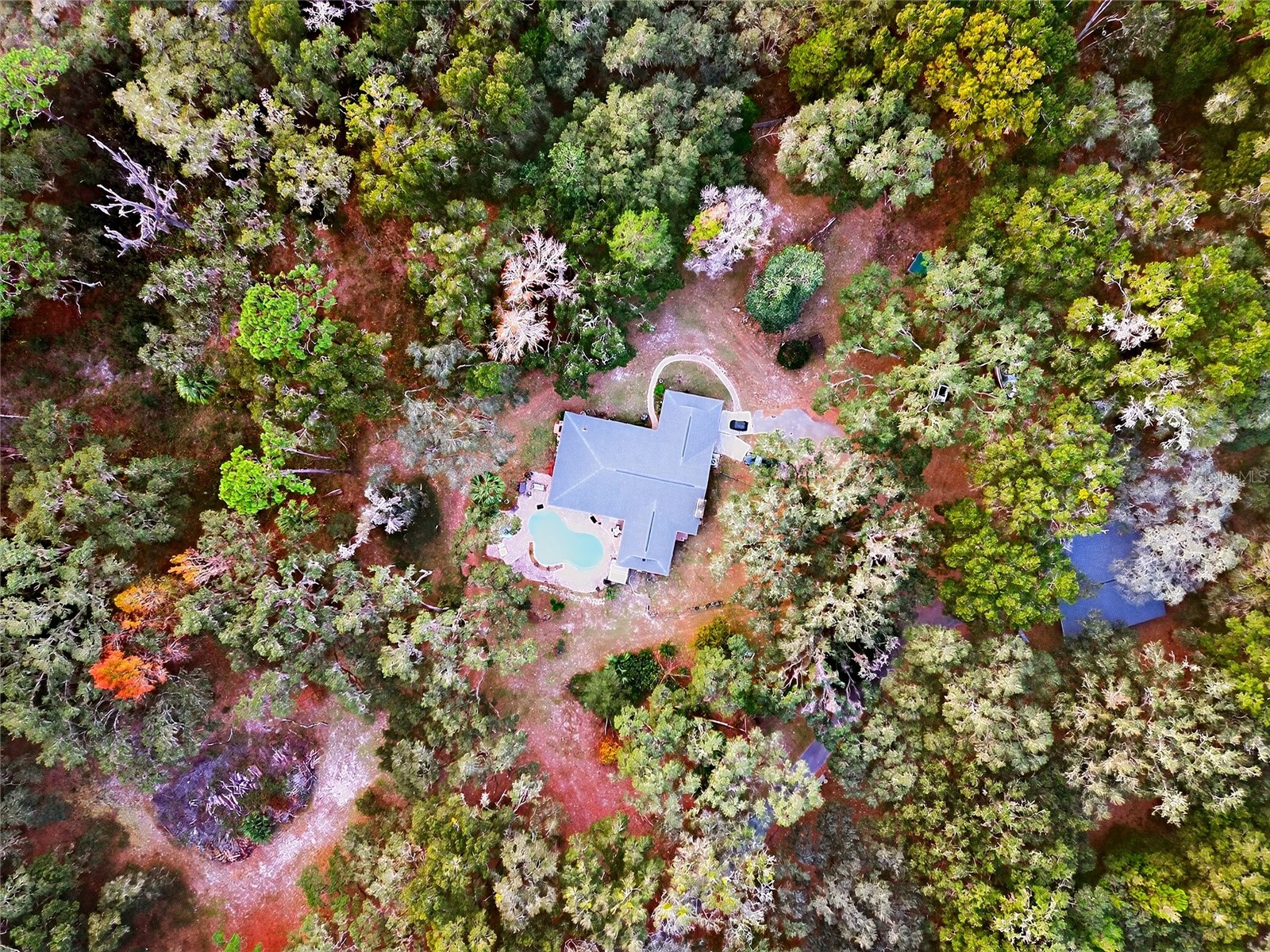 11795 SW Highway 484 Dunnellon FL 34432 O6423543 image67