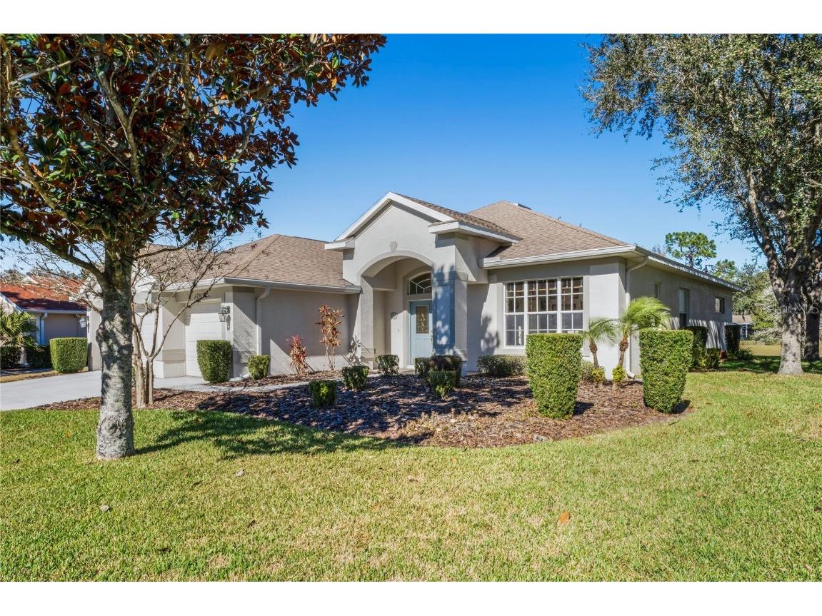 11797 New Britain Drive Spring Hill FL 34609 U8189215 image1