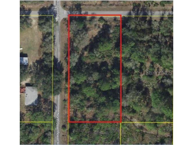 11798 W Cornflower Drive Crystal River FL 34428 W7881938 image1