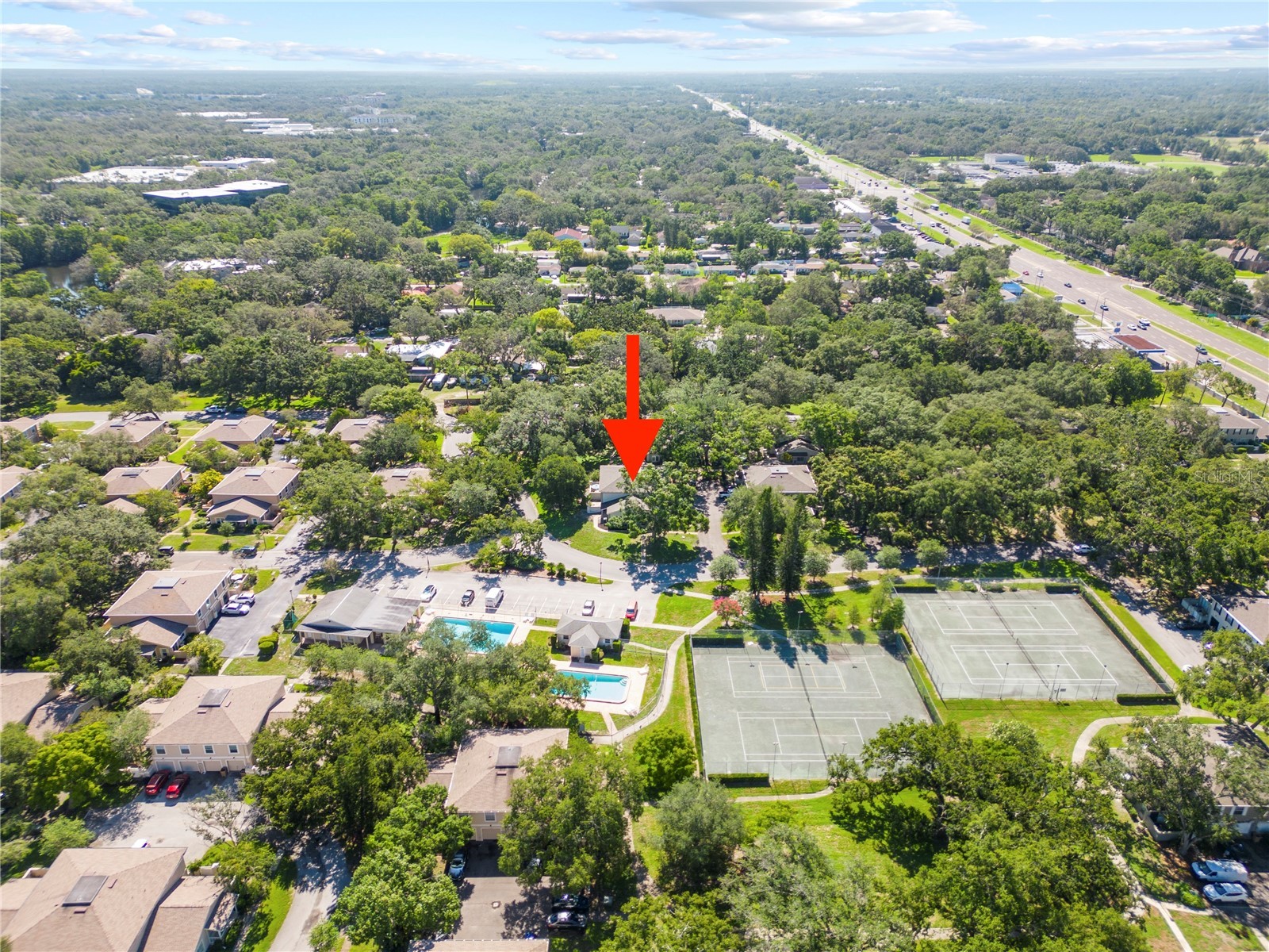 11799 Raintree Drive Temple Terrace FL 33617 TB8398604 image29