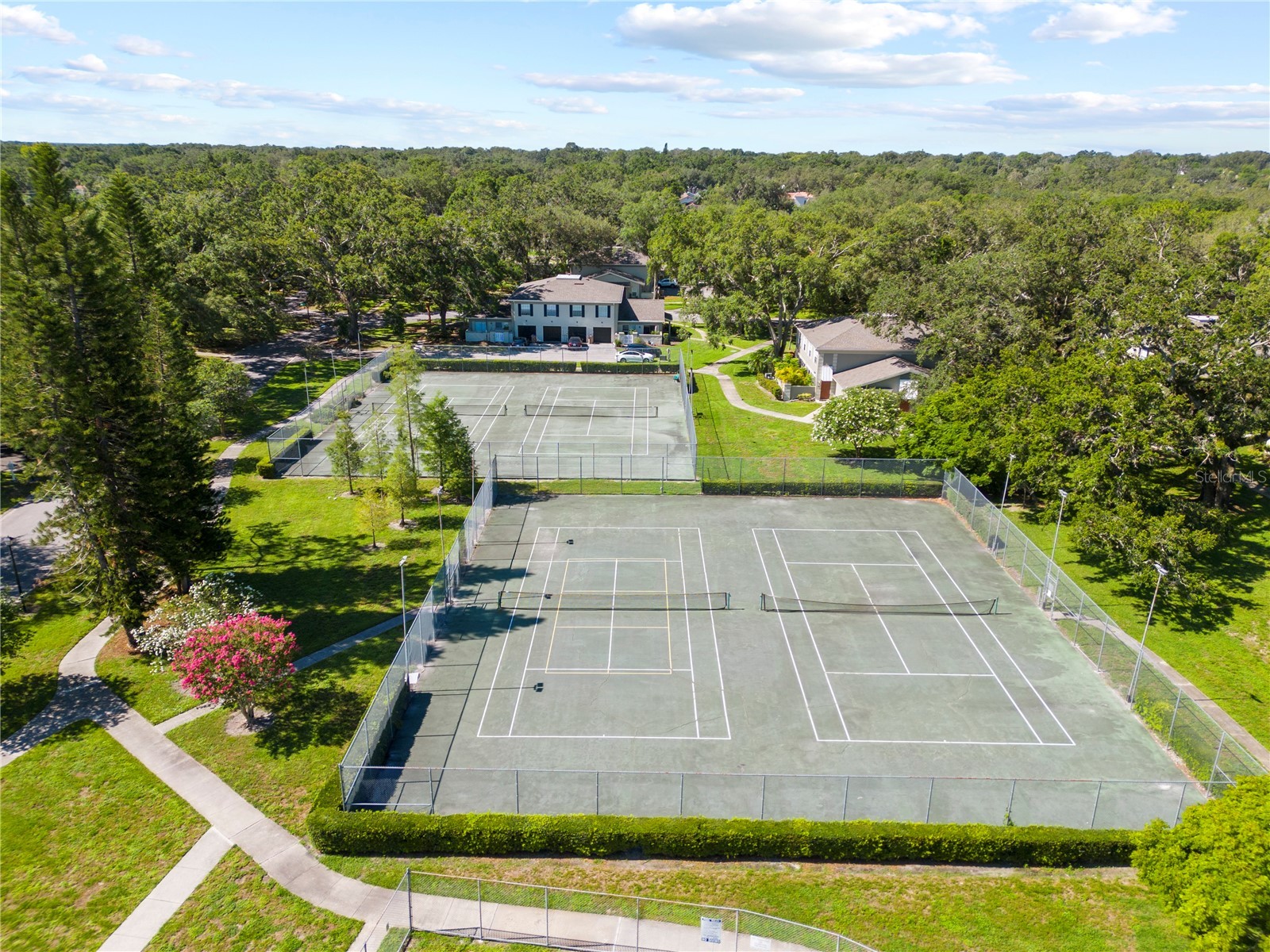 11799 Raintree Drive Temple Terrace FL 33617 TB8398604 image34