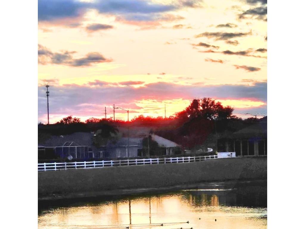 11799 SE 173rd Lane Road Summerfield FL 34491 OM700133 image81