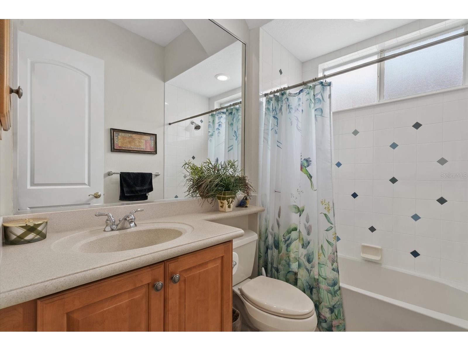 118 12th Avenue E Palmetto FL 34221 - MANATEE RIVER A4665511 image18