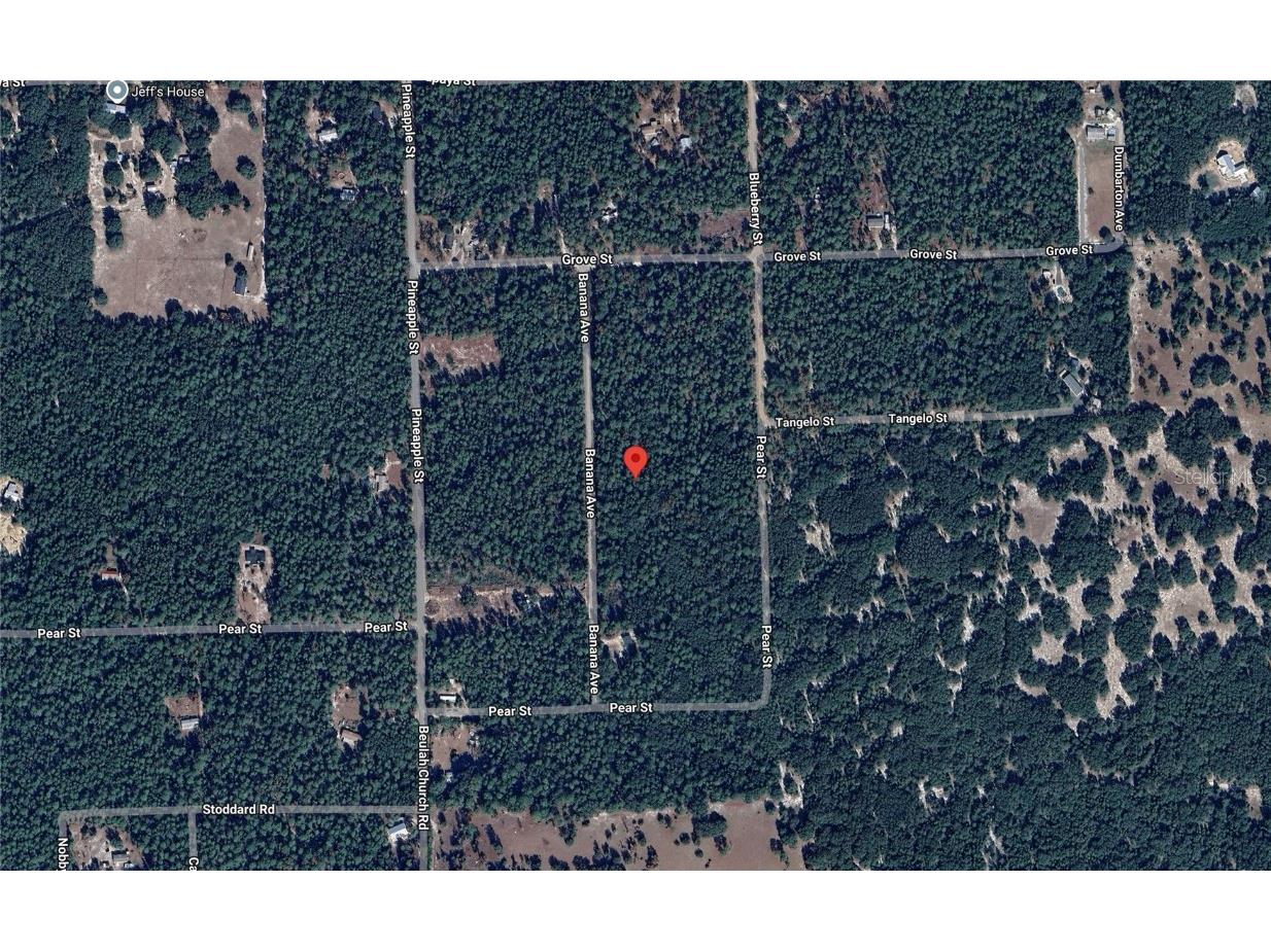 118 Banana Avenue Pomona Park FL 32181 G5098261 image1